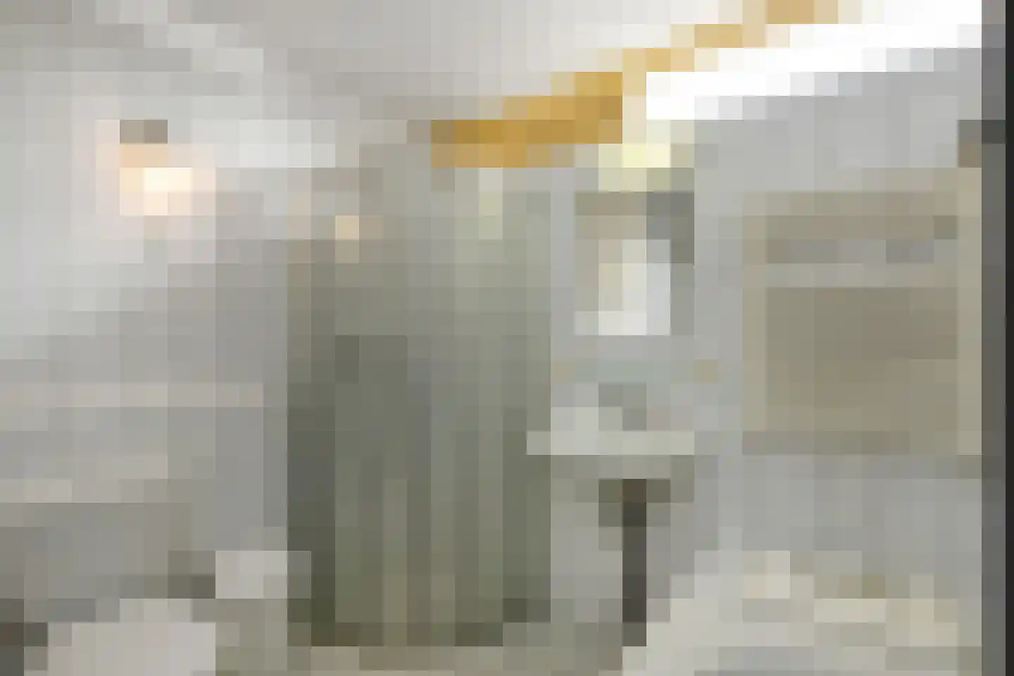 Zoetendaal 71 Elst thumbnail 20