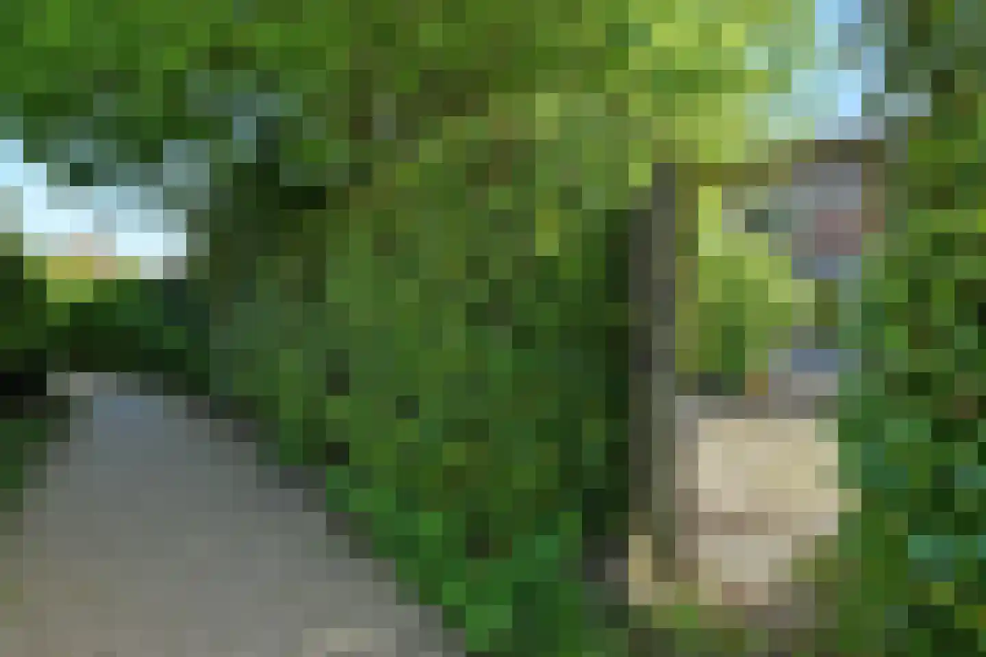 Zoetendaal 71 Elst thumbnail 30