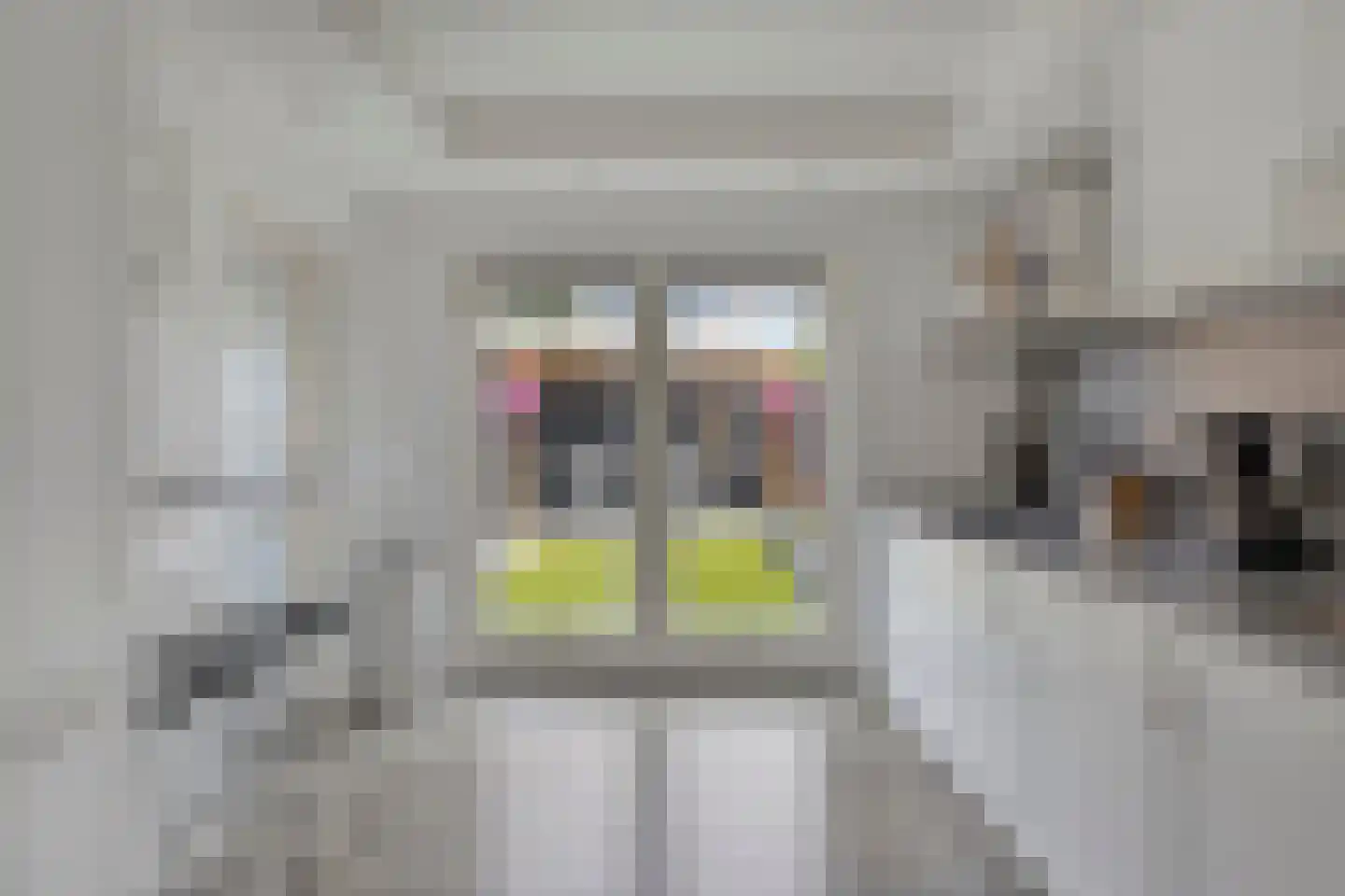 Zoetendaalstraat 5 Haps thumbnail 17