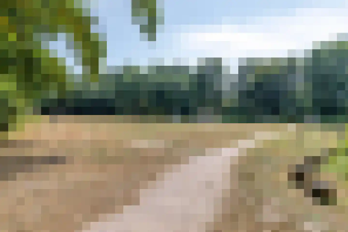 Zoetendaalstraat 5 Haps thumbnail 44