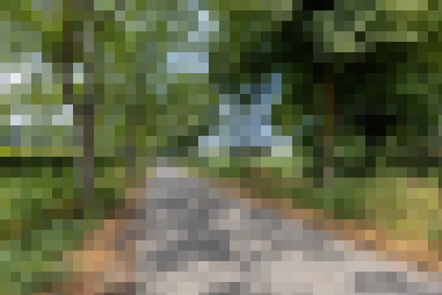 Zoetendaalstraat 5 Haps thumbnail 46