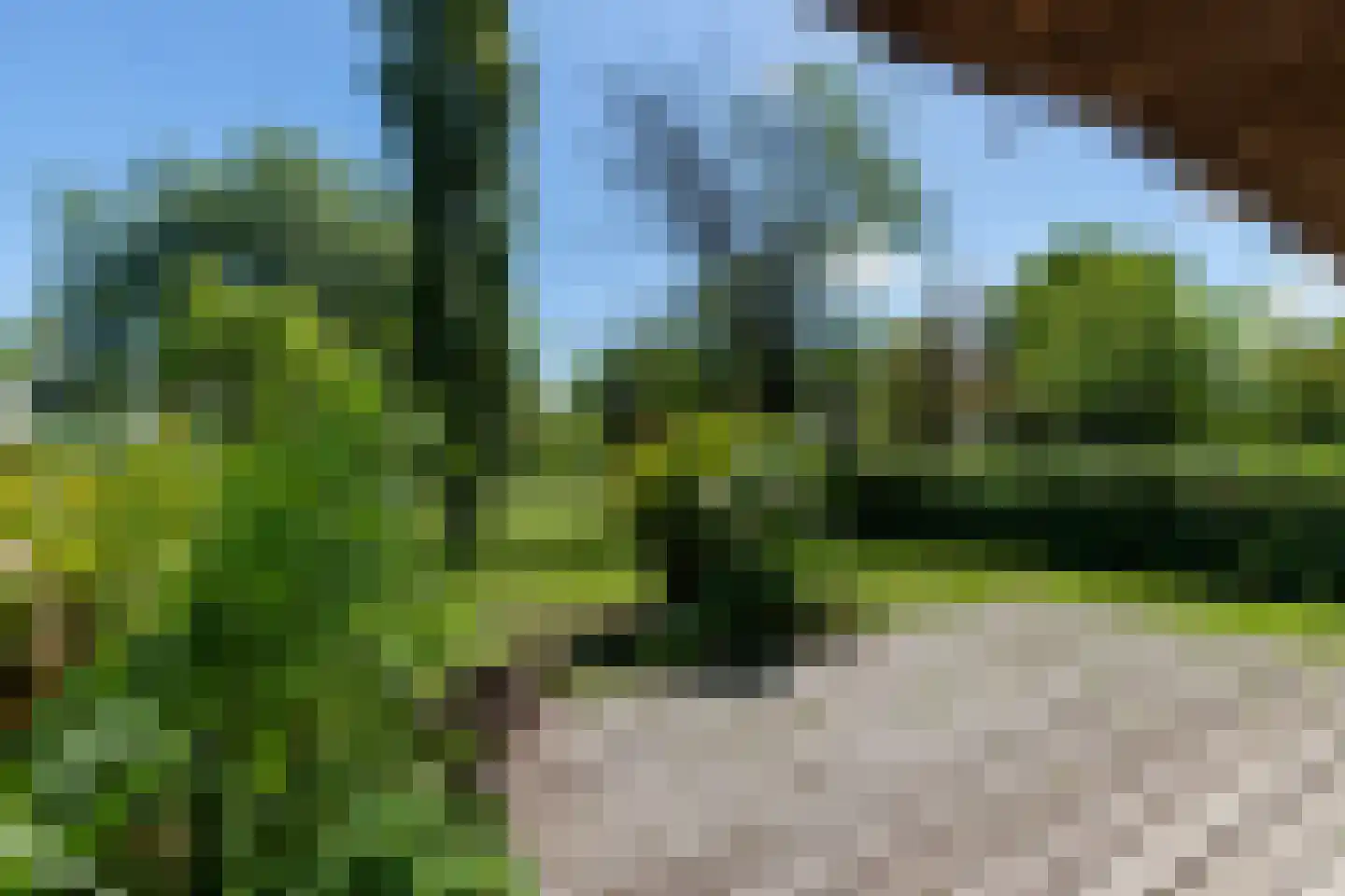 Zoetendijk 2 Reeuwijk thumbnail 100