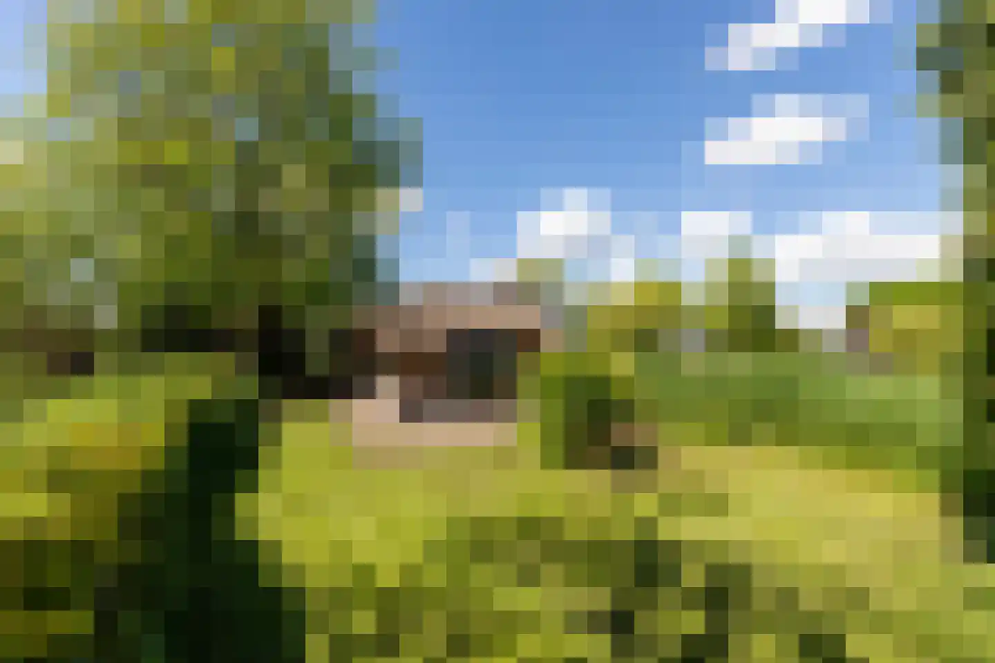 Zoetendijk 2 Reeuwijk thumbnail 101