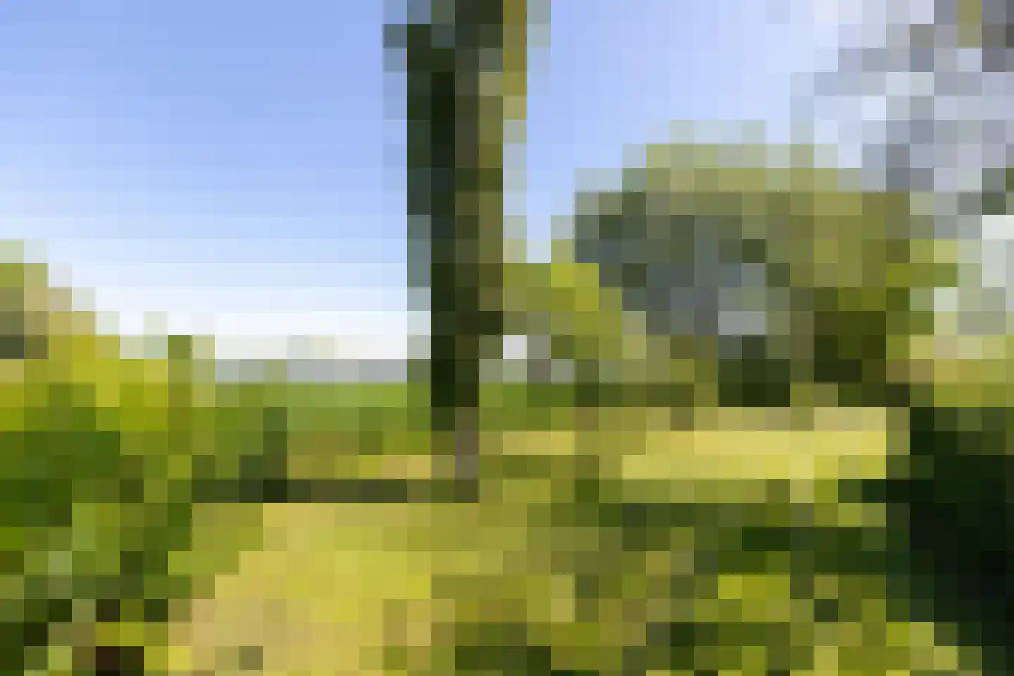 Zoetendijk 2 Reeuwijk thumbnail 102