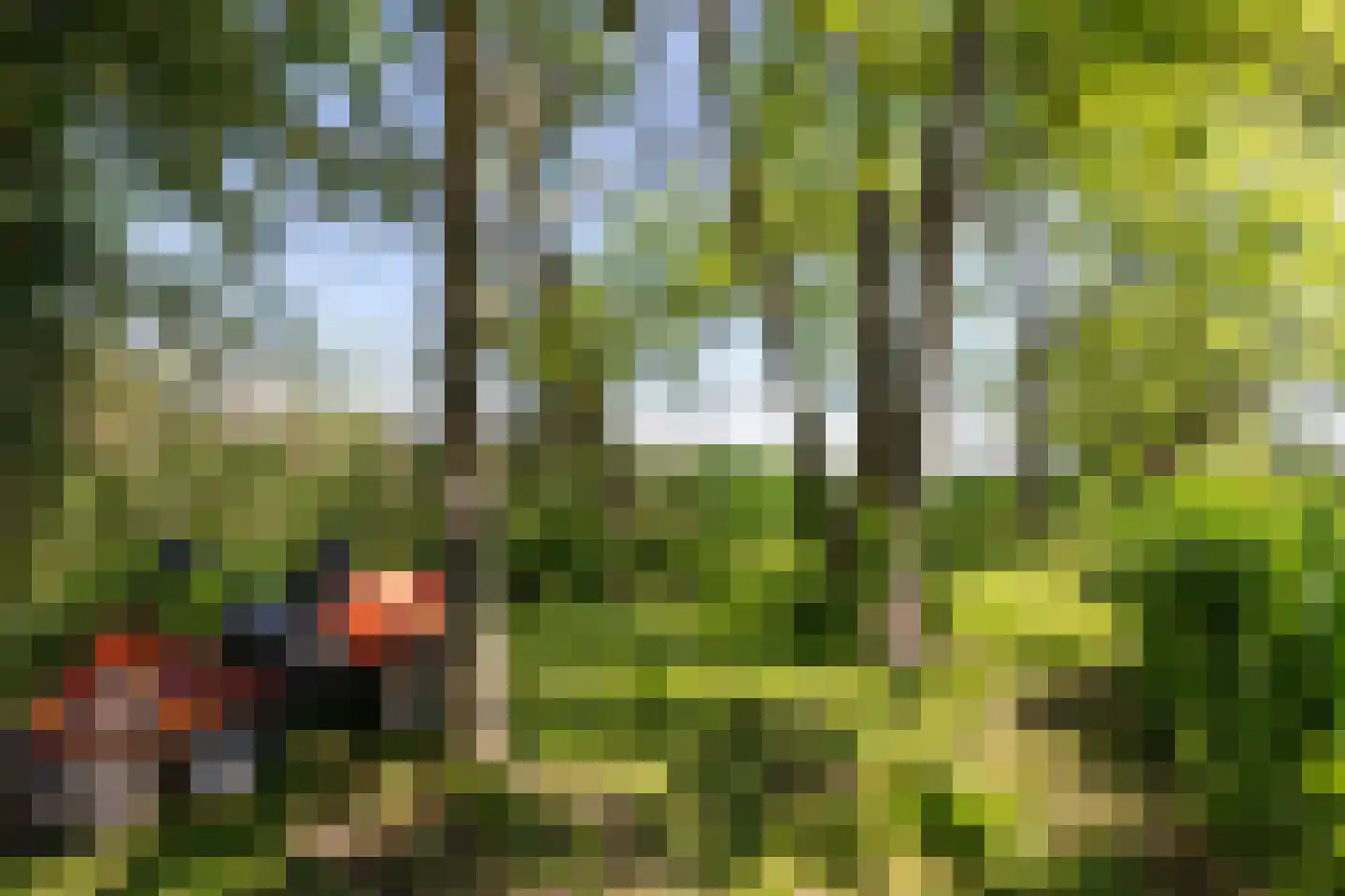 Zoetendijk 2 Reeuwijk thumbnail 103