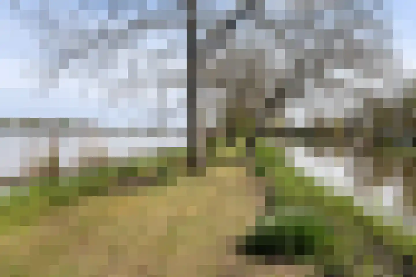 Zoetendijk 2 Reeuwijk thumbnail 105