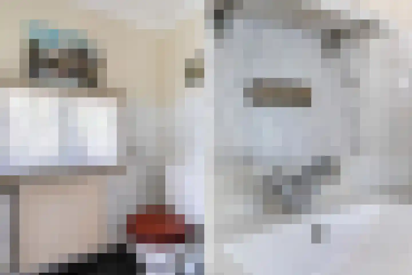 Zoetendijk 2 Reeuwijk thumbnail 11
