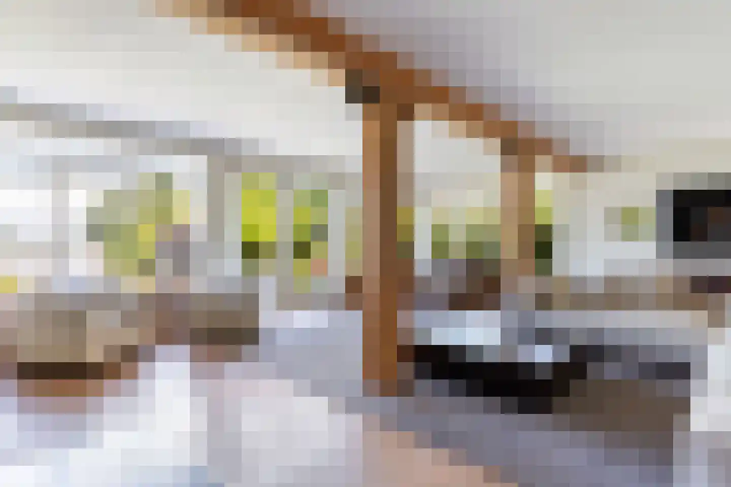 Zoetendijk 2 Reeuwijk thumbnail 15