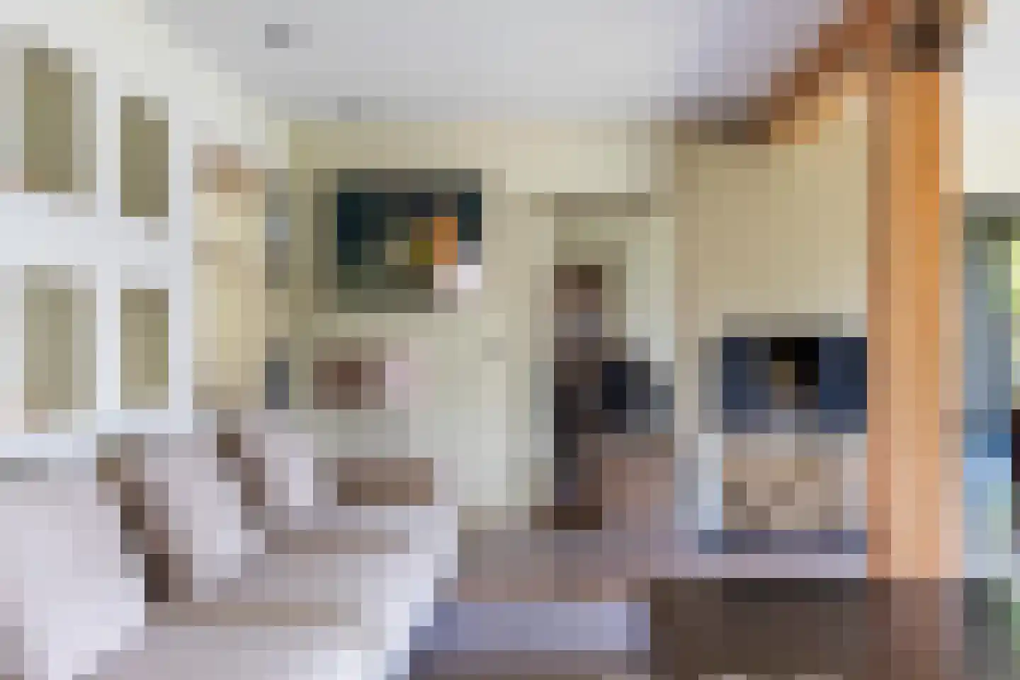 Zoetendijk 2 Reeuwijk thumbnail 18
