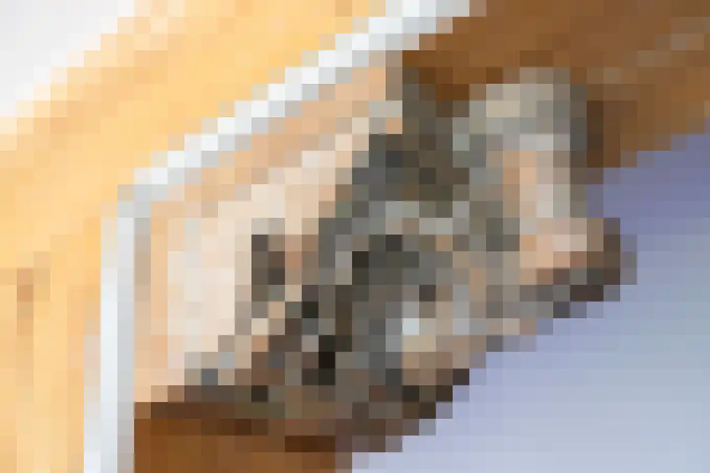 Zoetendijk 2 Reeuwijk thumbnail 19