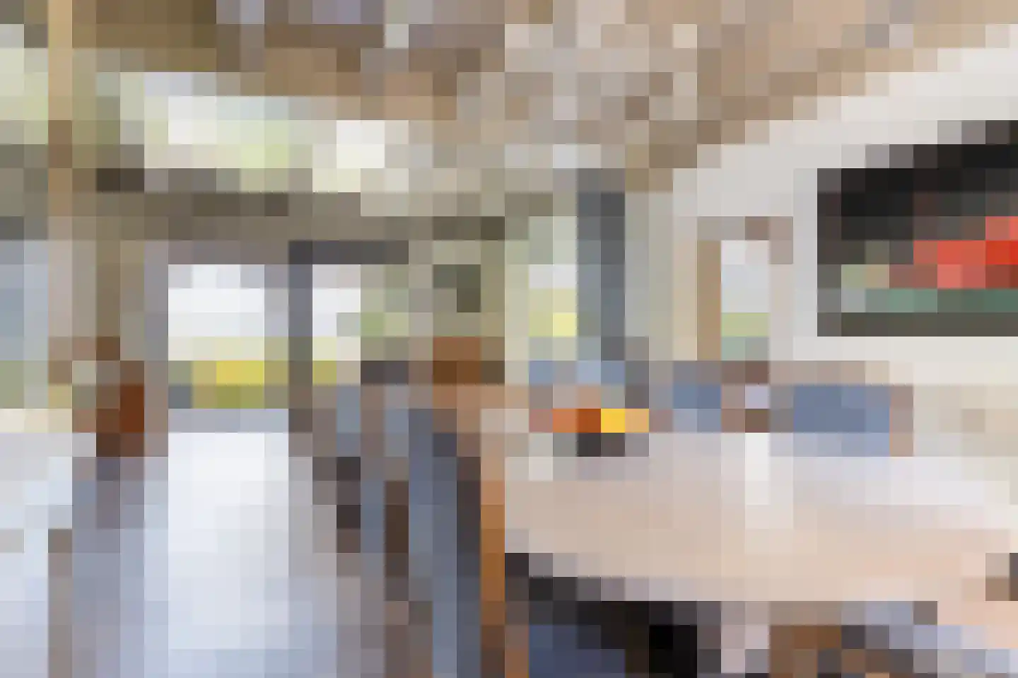 Zoetendijk 2 Reeuwijk thumbnail 27