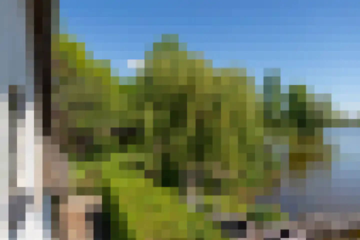 Zoetendijk 2 Reeuwijk thumbnail 39