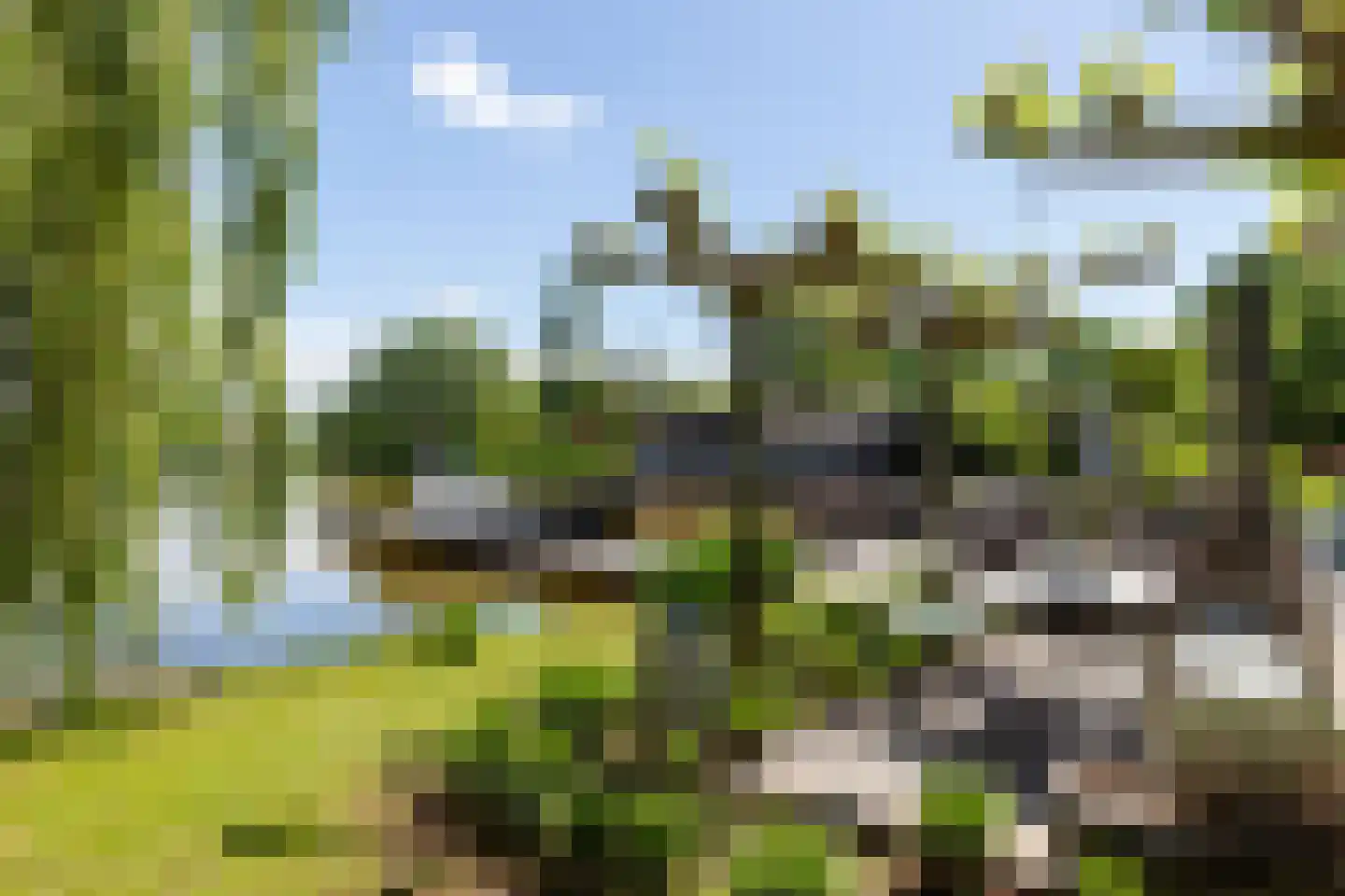 Zoetendijk 2 Reeuwijk thumbnail 4