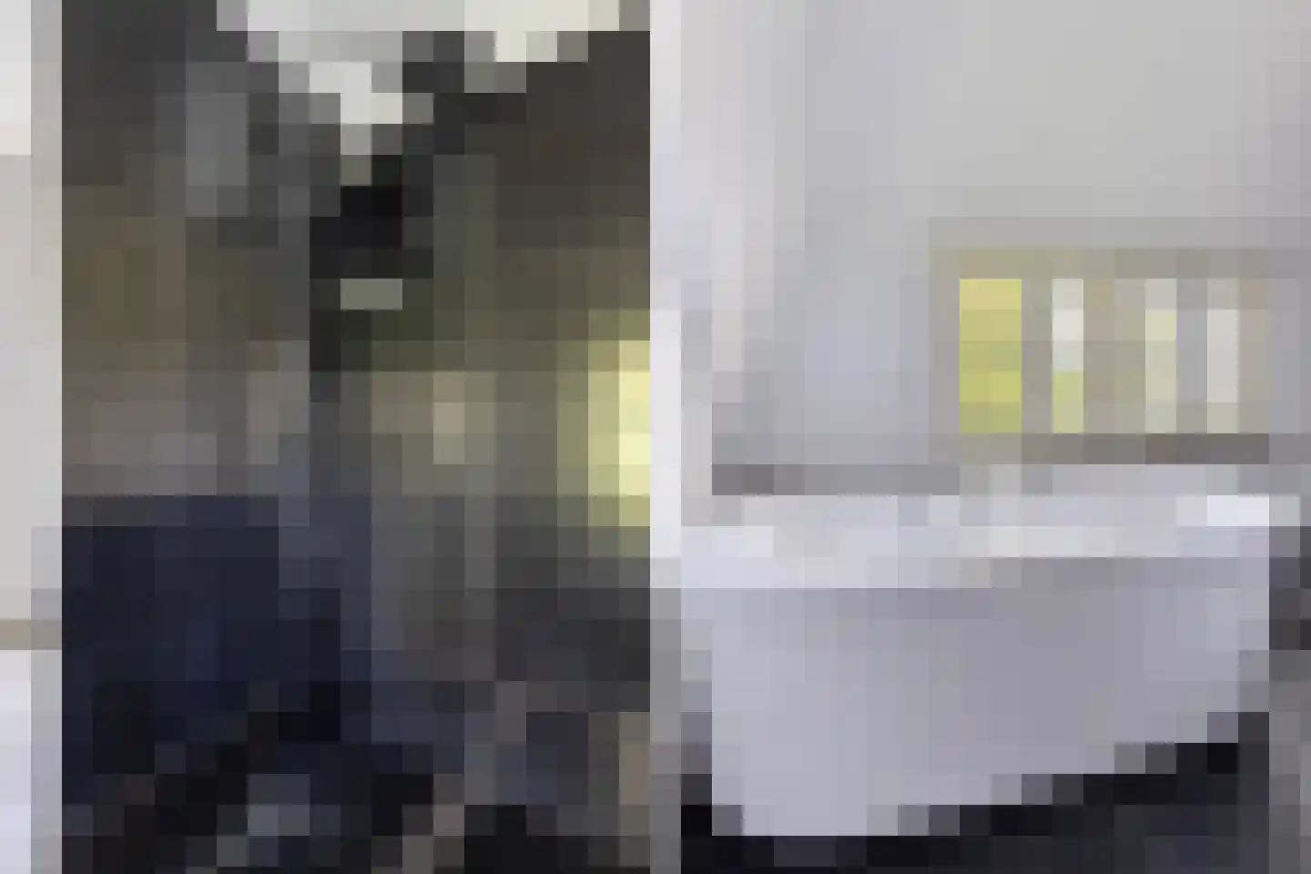 Zoetendijk 2 Reeuwijk thumbnail 53