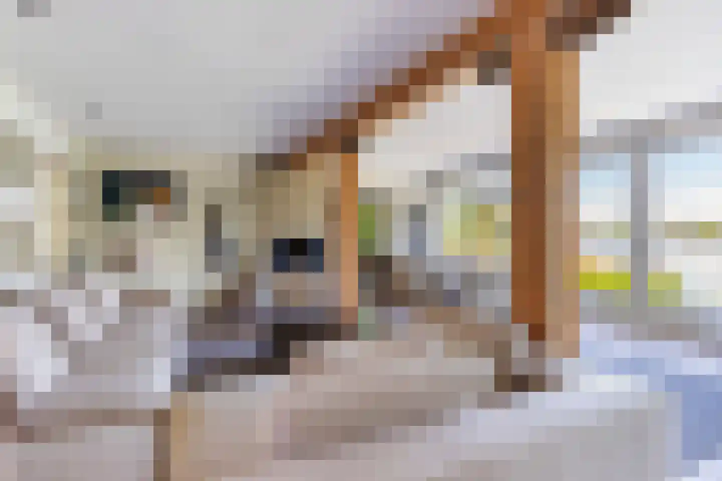 Zoetendijk 2 Reeuwijk thumbnail 6