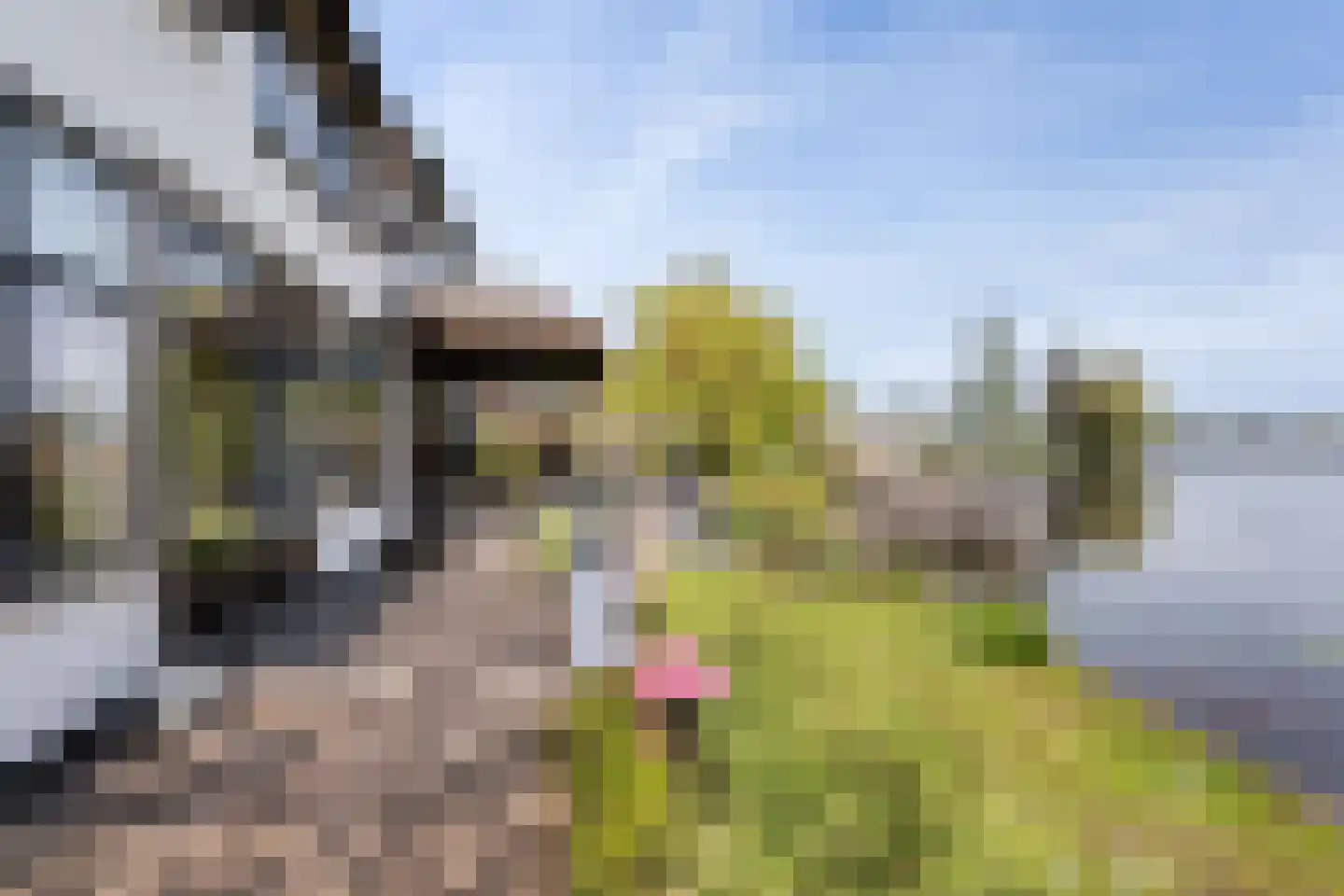 Zoetendijk 2 Reeuwijk thumbnail 63