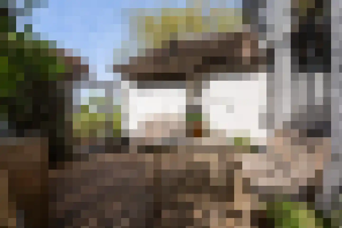 Zoetendijk 2 Reeuwijk thumbnail 71