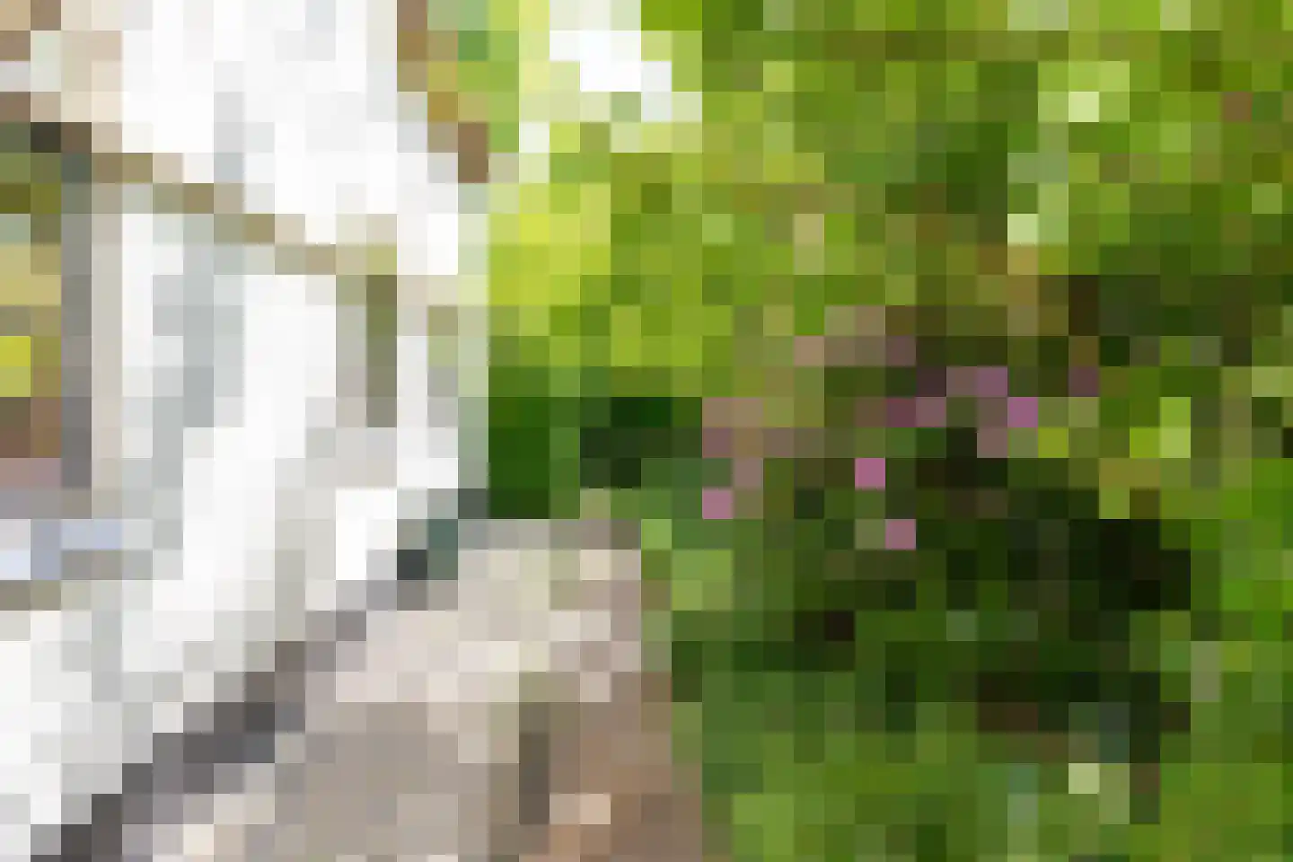 Zoetendijk 2 Reeuwijk thumbnail 73
