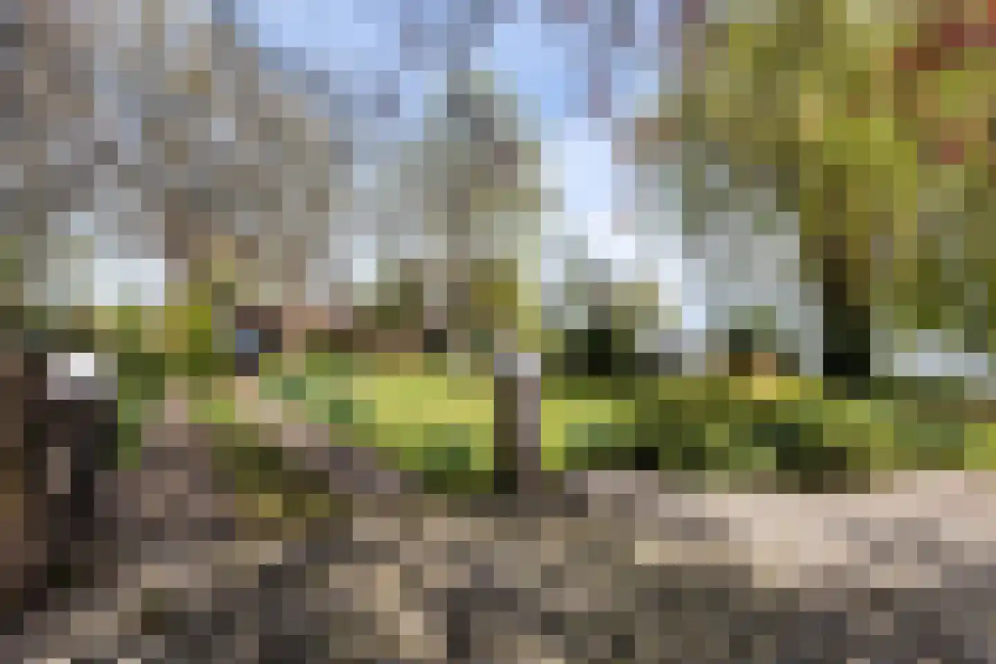 Zoetendijk 2 Reeuwijk thumbnail 75