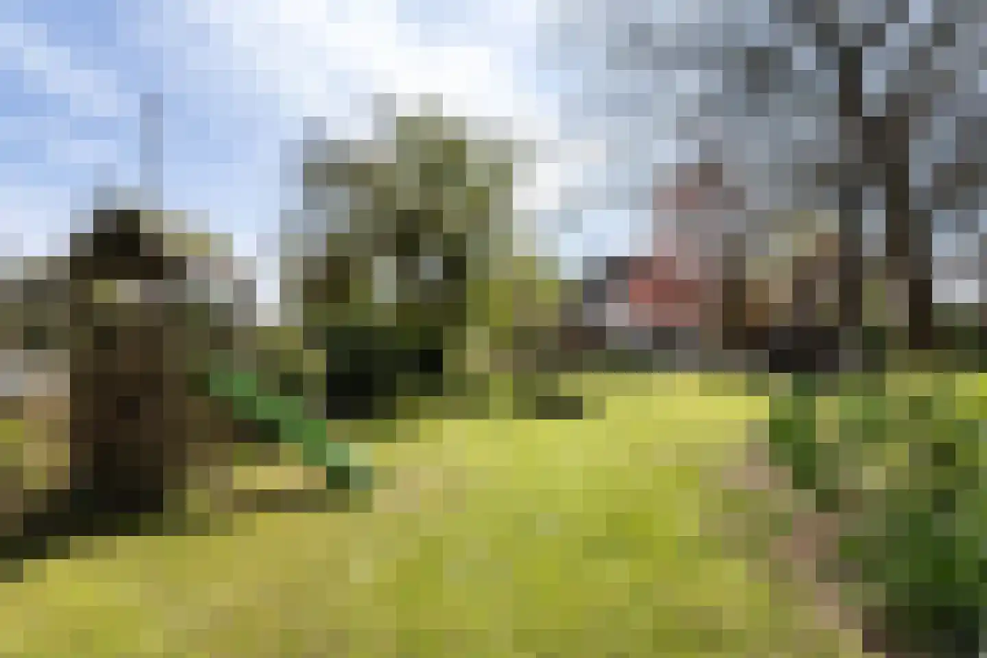 Zoetendijk 2 Reeuwijk thumbnail 76