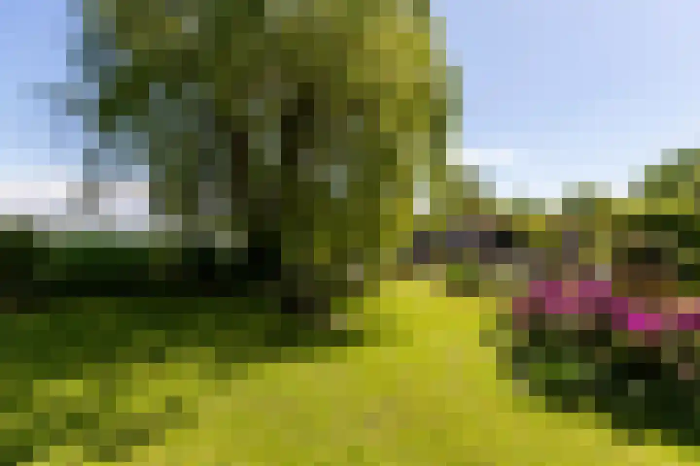 Zoetendijk 2 Reeuwijk thumbnail 77