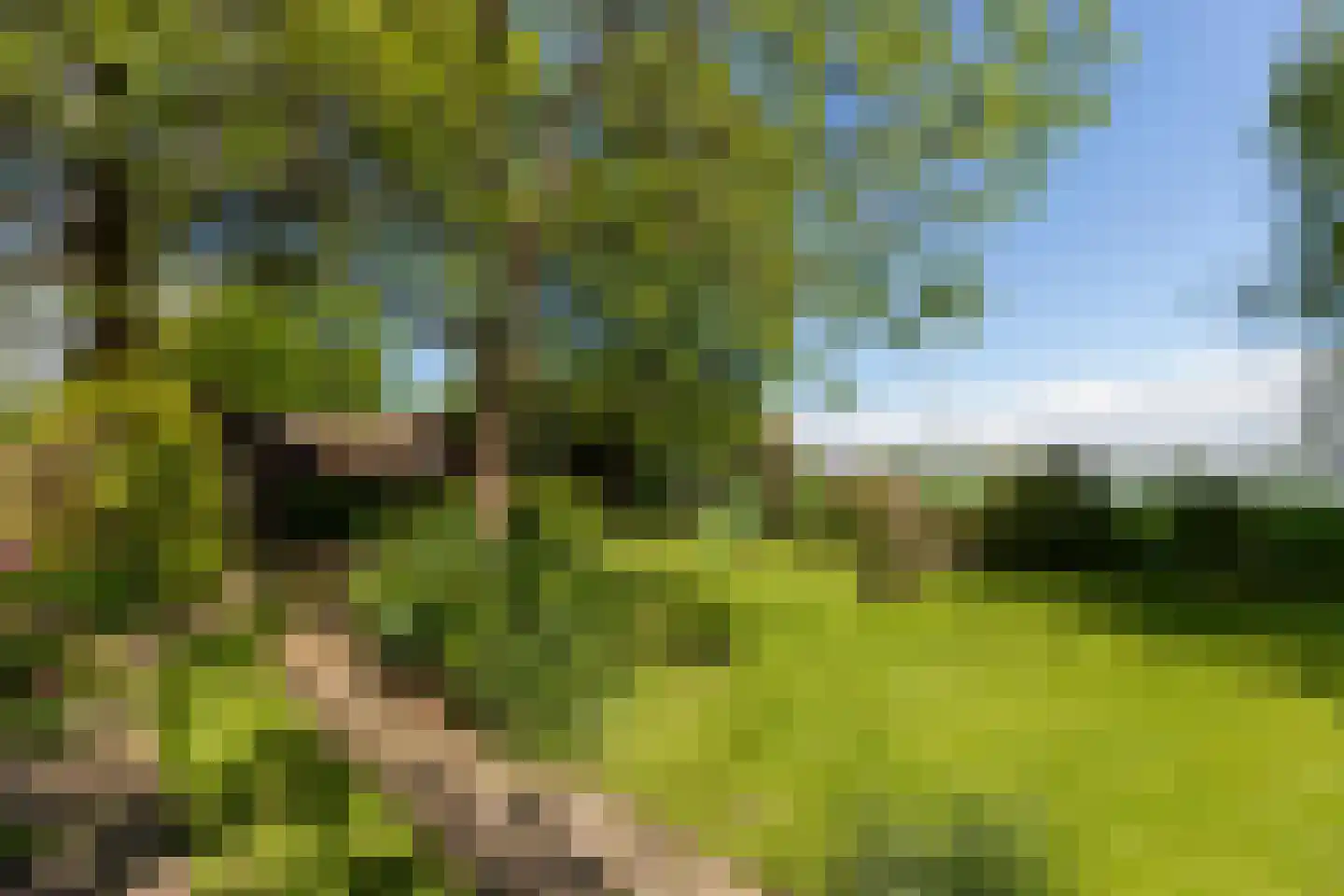 Zoetendijk 2 Reeuwijk thumbnail 78