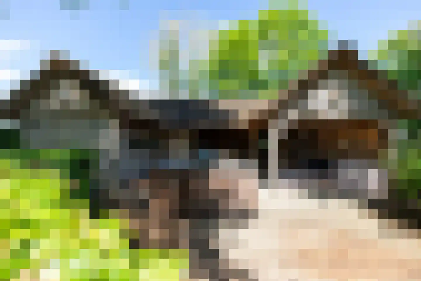 Zoetendijk 2 Reeuwijk thumbnail 80