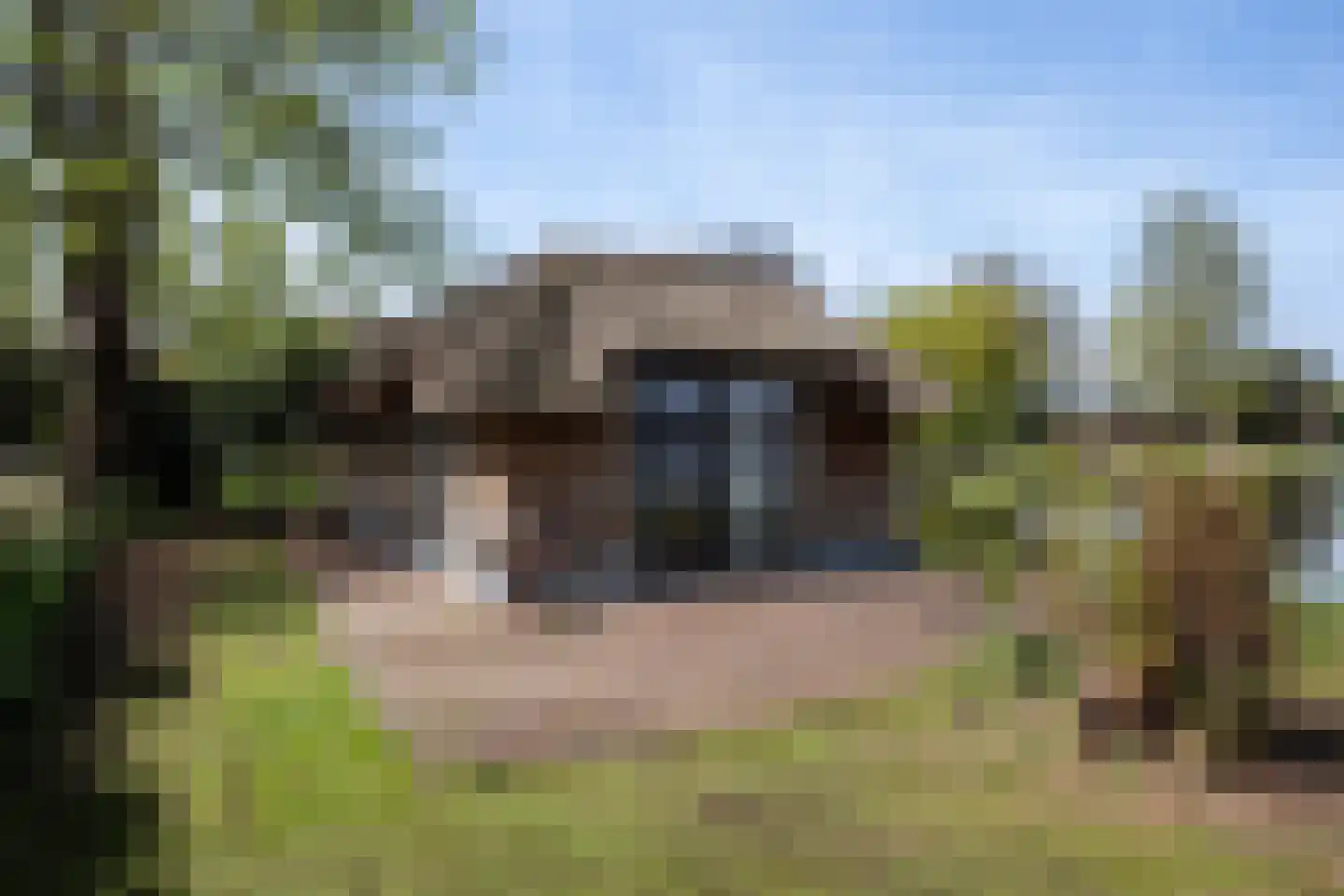 Zoetendijk 2 Reeuwijk thumbnail 89