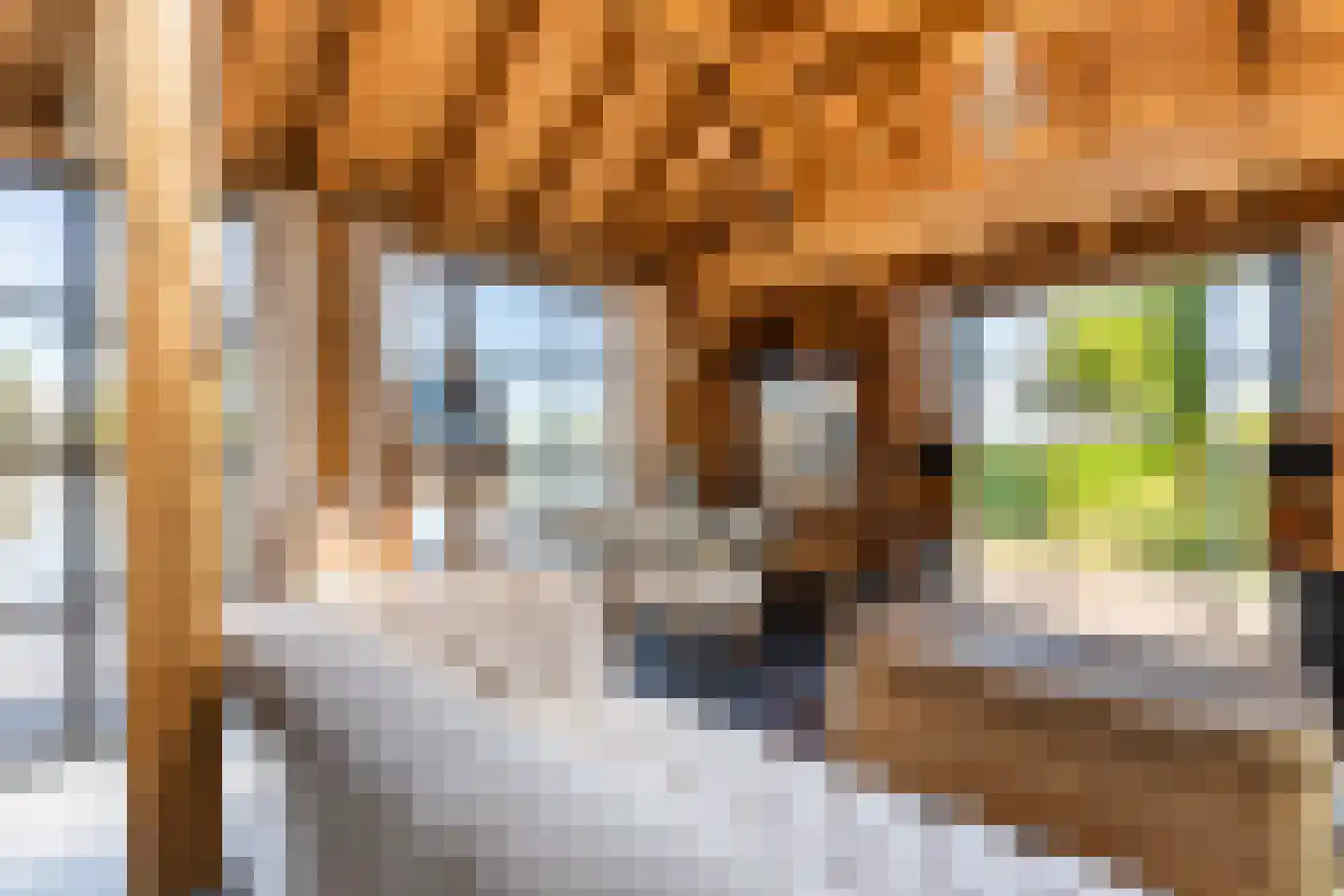 Zoetendijk 2 Reeuwijk thumbnail 91