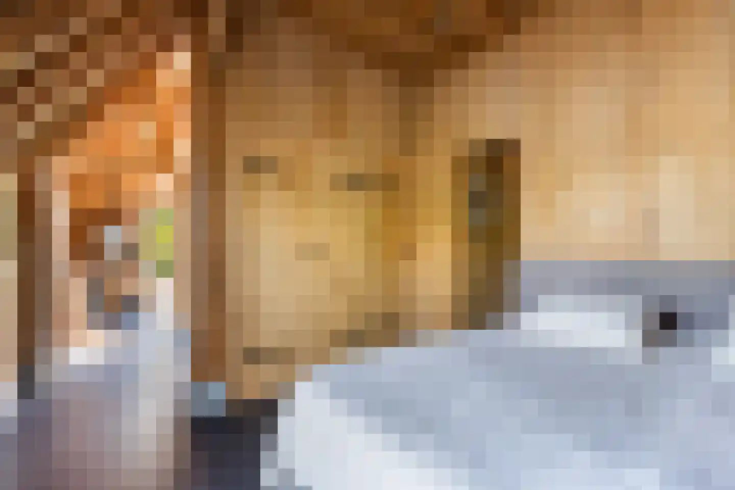 Zoetendijk 2 Reeuwijk thumbnail 96