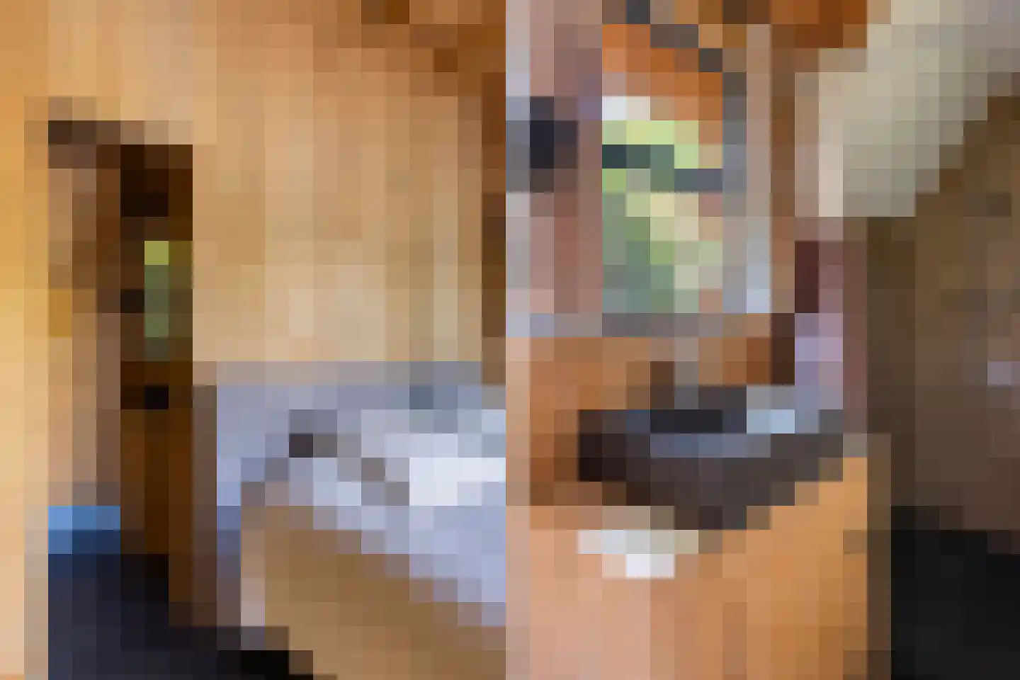 Zoetendijk 2 Reeuwijk thumbnail 98