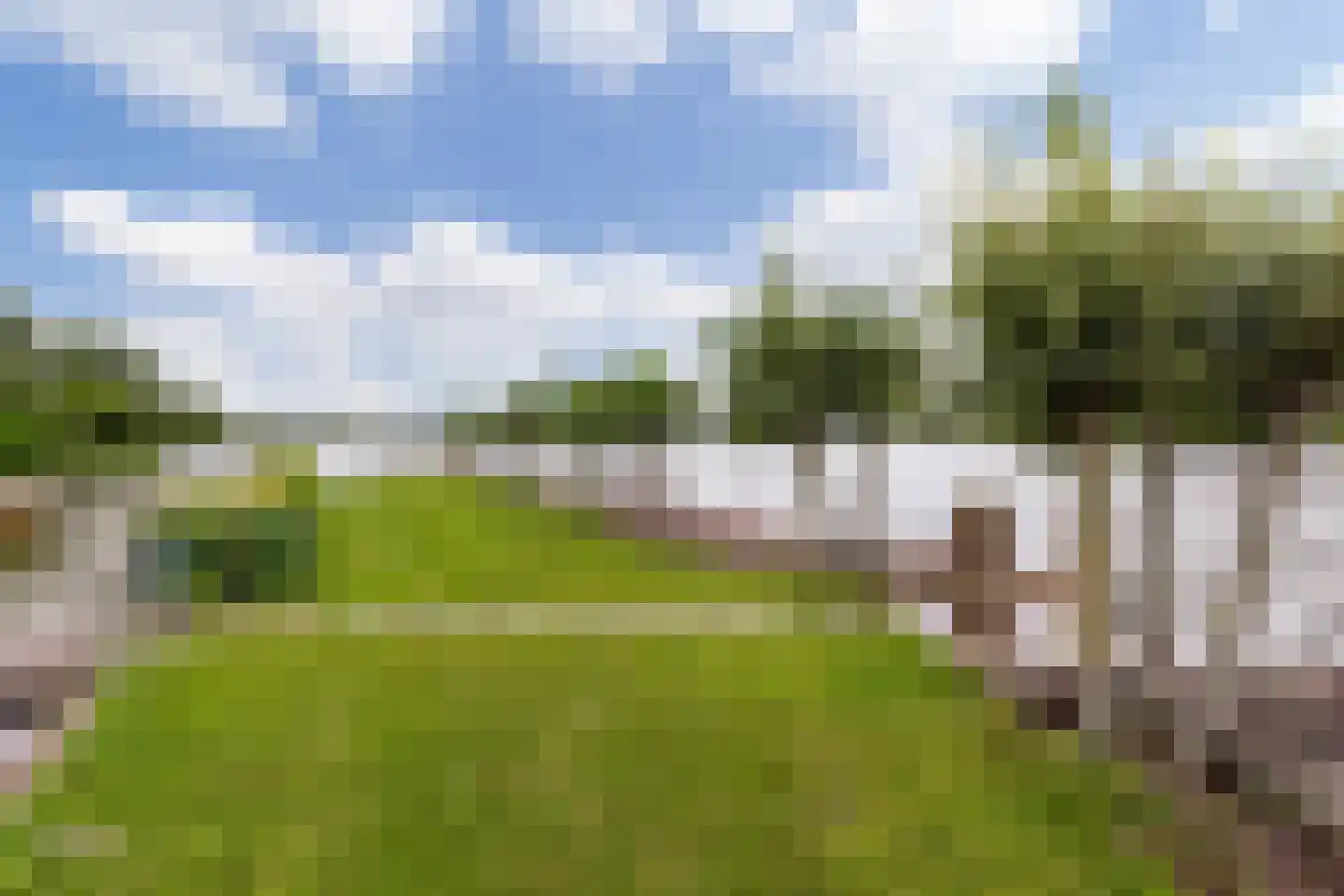 Zoetendijk dans Reeuwijk