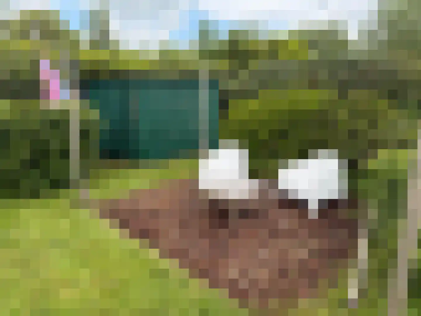 Zoetendijk 7 a Reeuwijk thumbnail 11