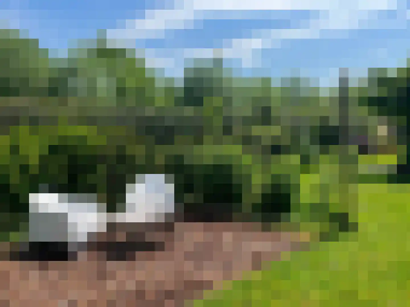 Zoetendijk 7 a Reeuwijk thumbnail 14