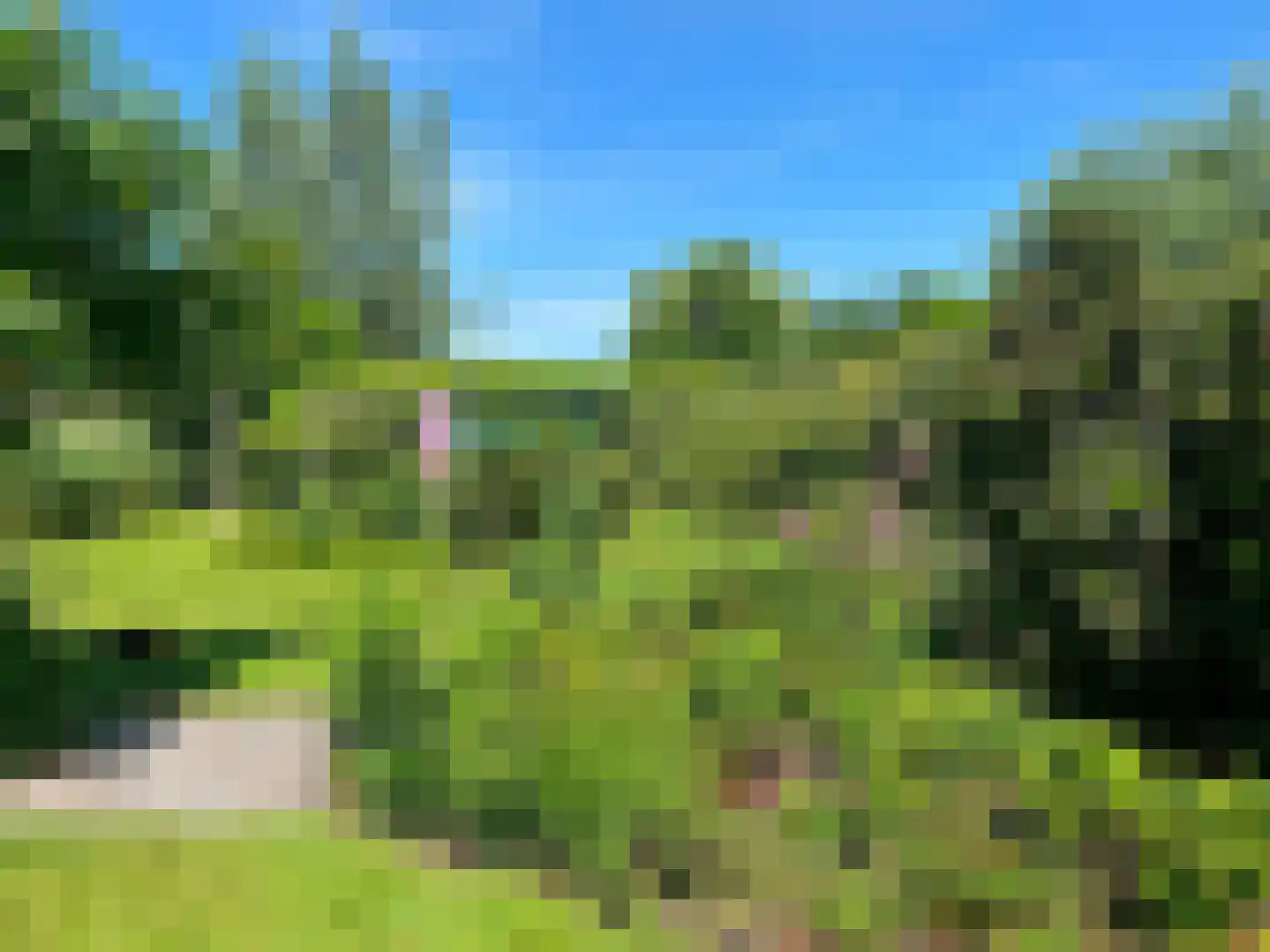 Zoetendijk 7 a Reeuwijk thumbnail 16