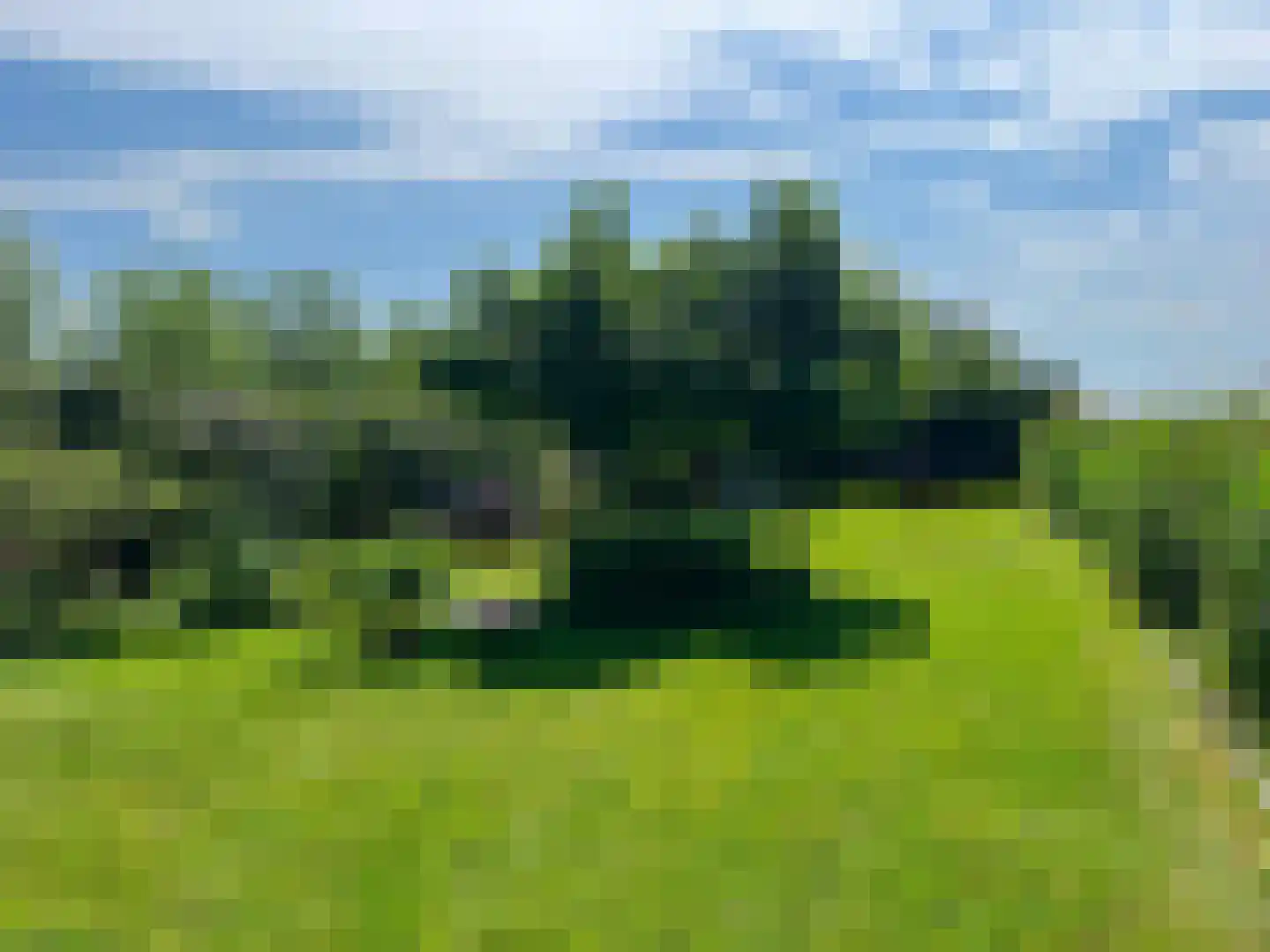 Zoetendijk 7 a Reeuwijk thumbnail 17