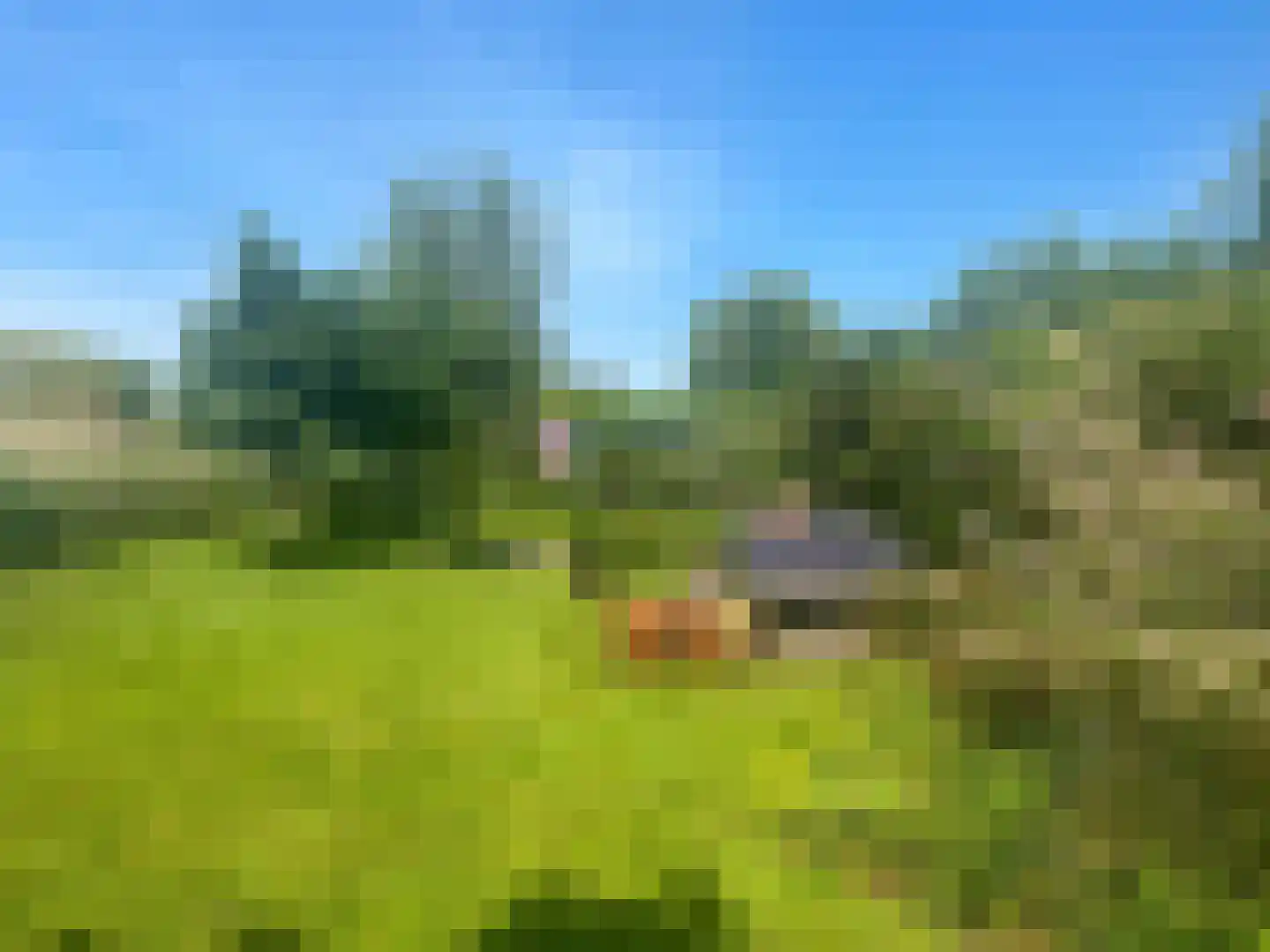 Zoetendijk 7 a Reeuwijk thumbnail 18