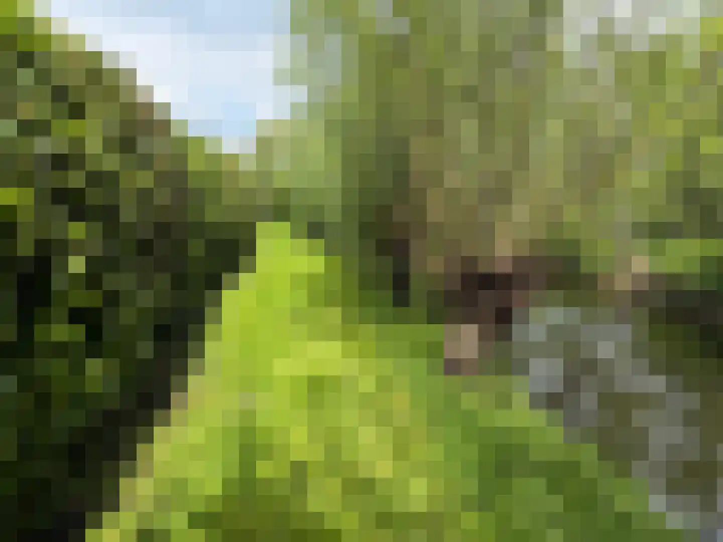 Zoetendijk 7 a Reeuwijk thumbnail 4