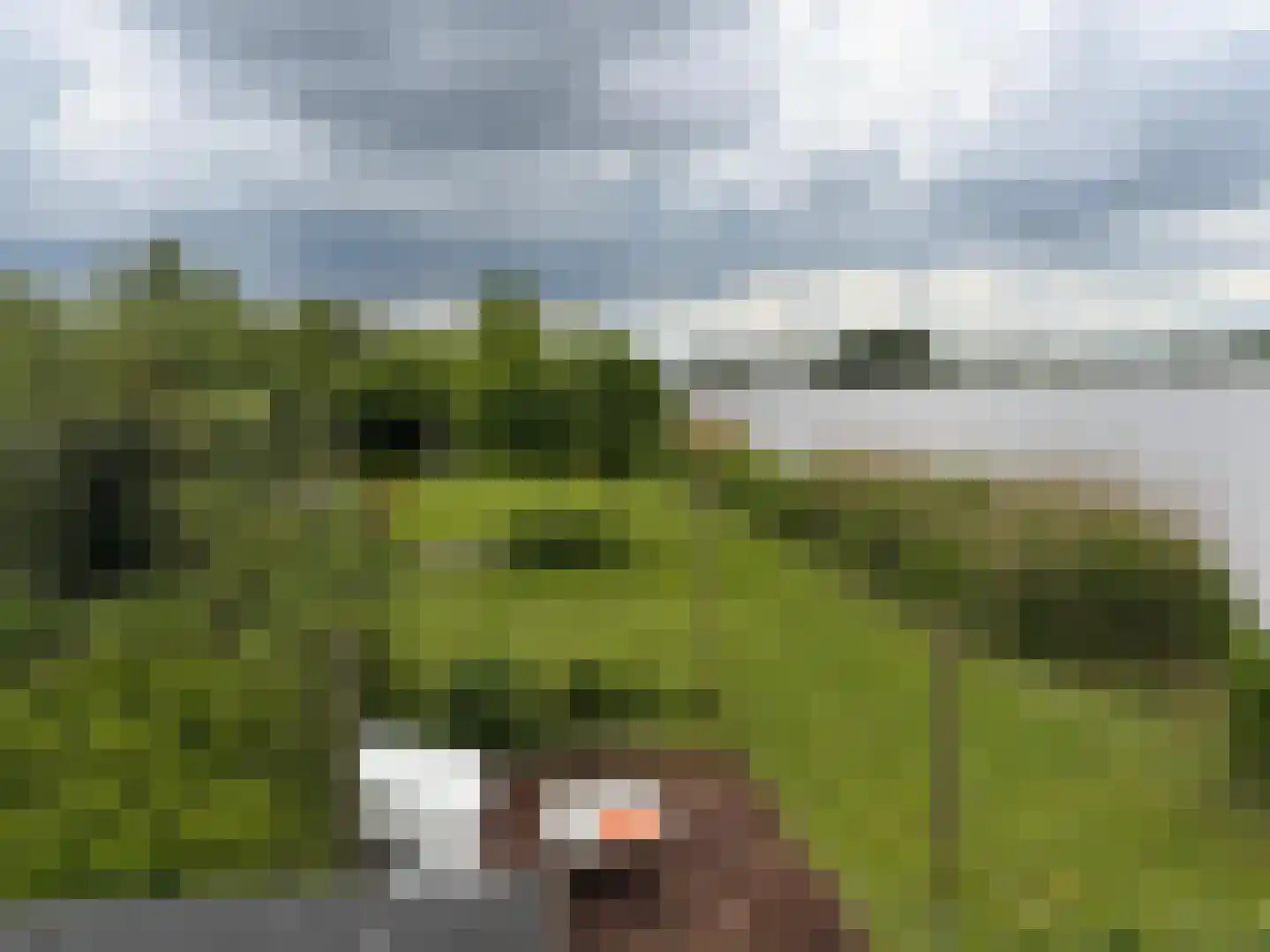 Zoetendijk 7 a Reeuwijk thumbnail 8