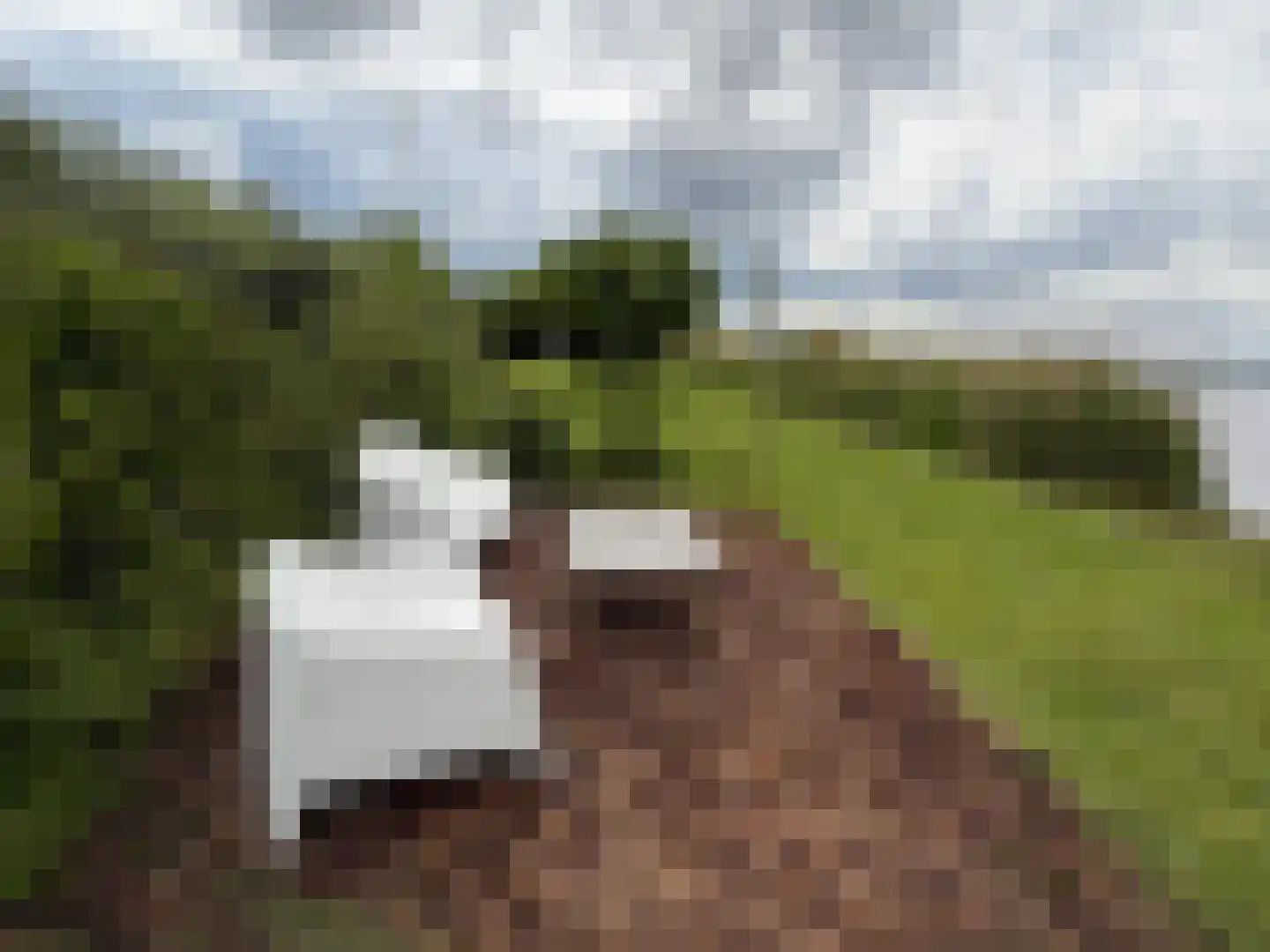 Zoetendijk 7 a Reeuwijk thumbnail 9
