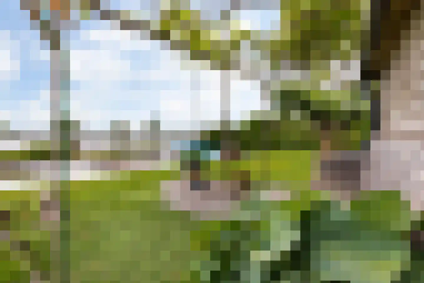 Zoetendijk Reeuwijk thumbnail 11