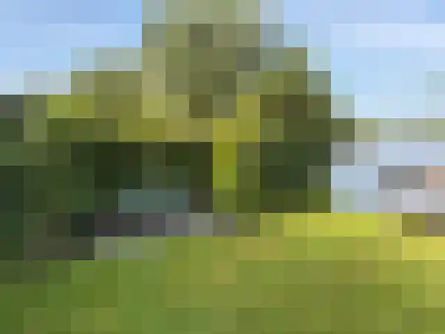 Zoetendijk Reeuwijk thumbnail 12