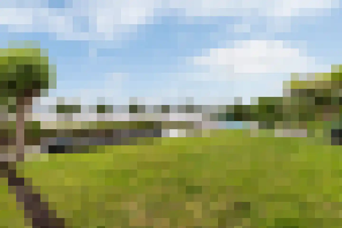 Zoetendijk Reeuwijk foto 2