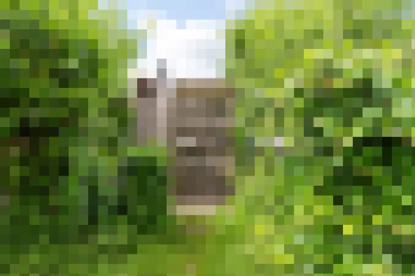 Zoetendijk Reeuwijk thumbnail 21