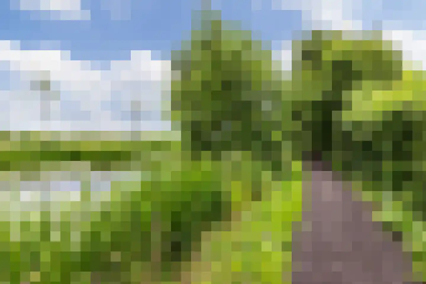 Zoetendijk Reeuwijk thumbnail 22
