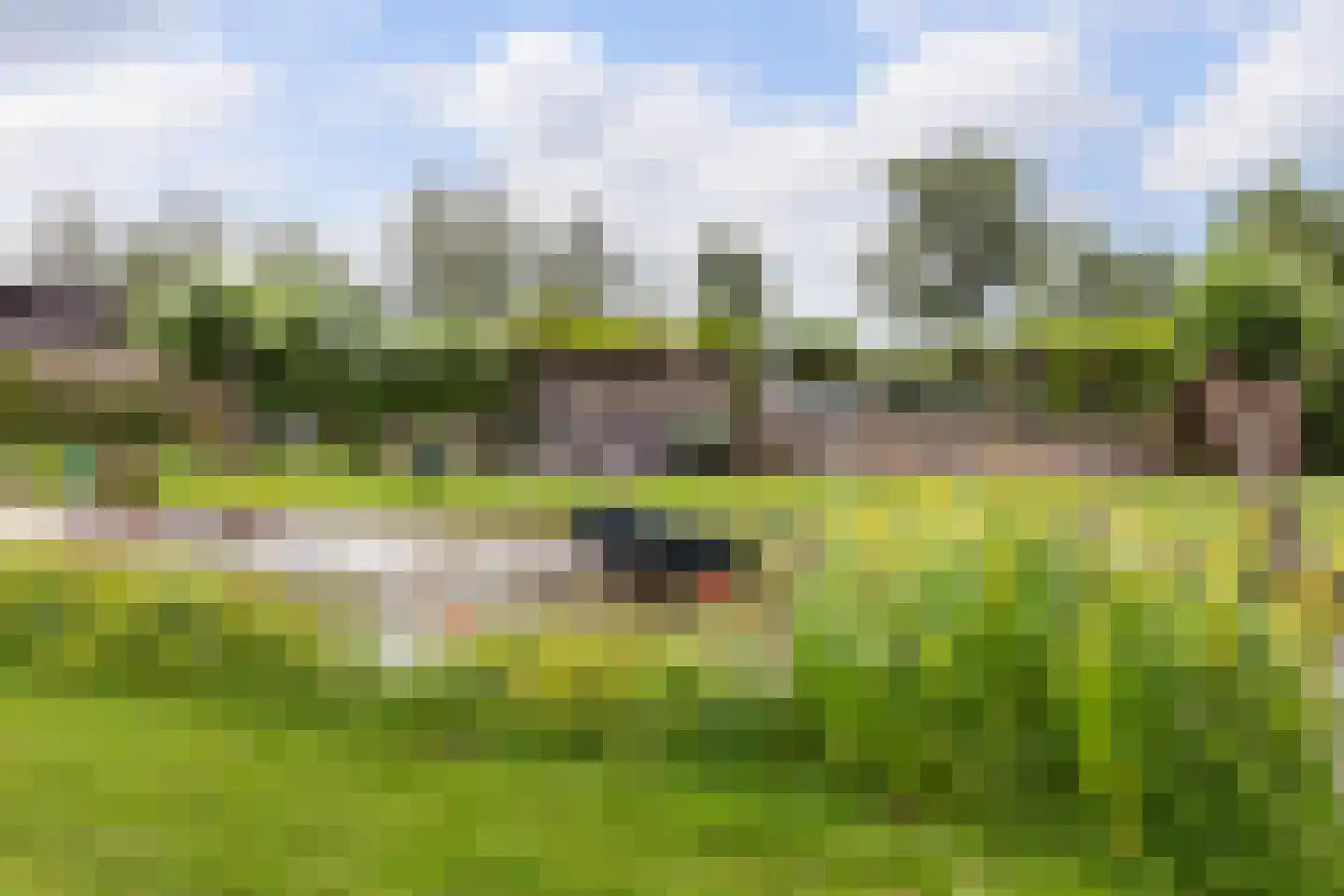 Zoetendijk Reeuwijk thumbnail 4