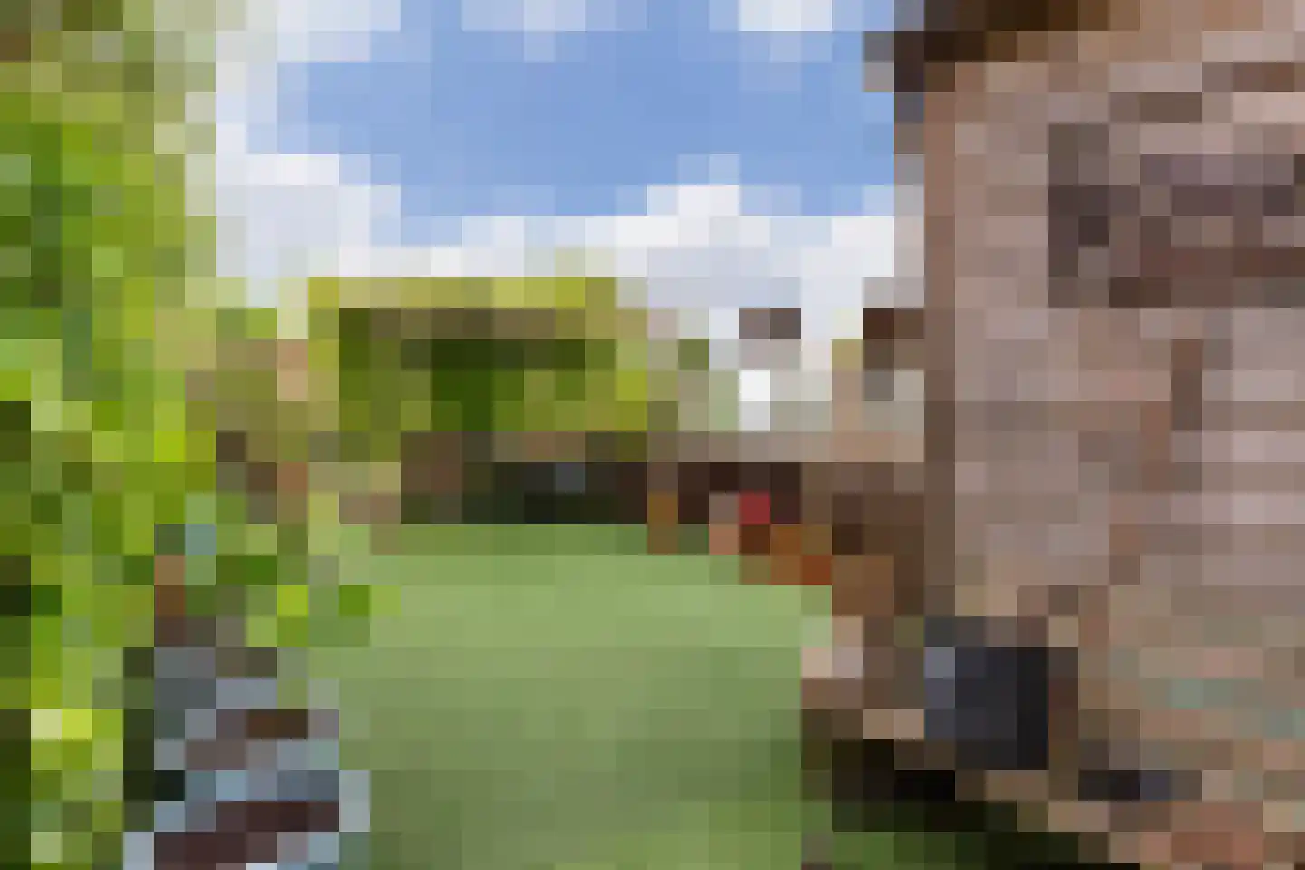 Zoetendijk Reeuwijk thumbnail 8