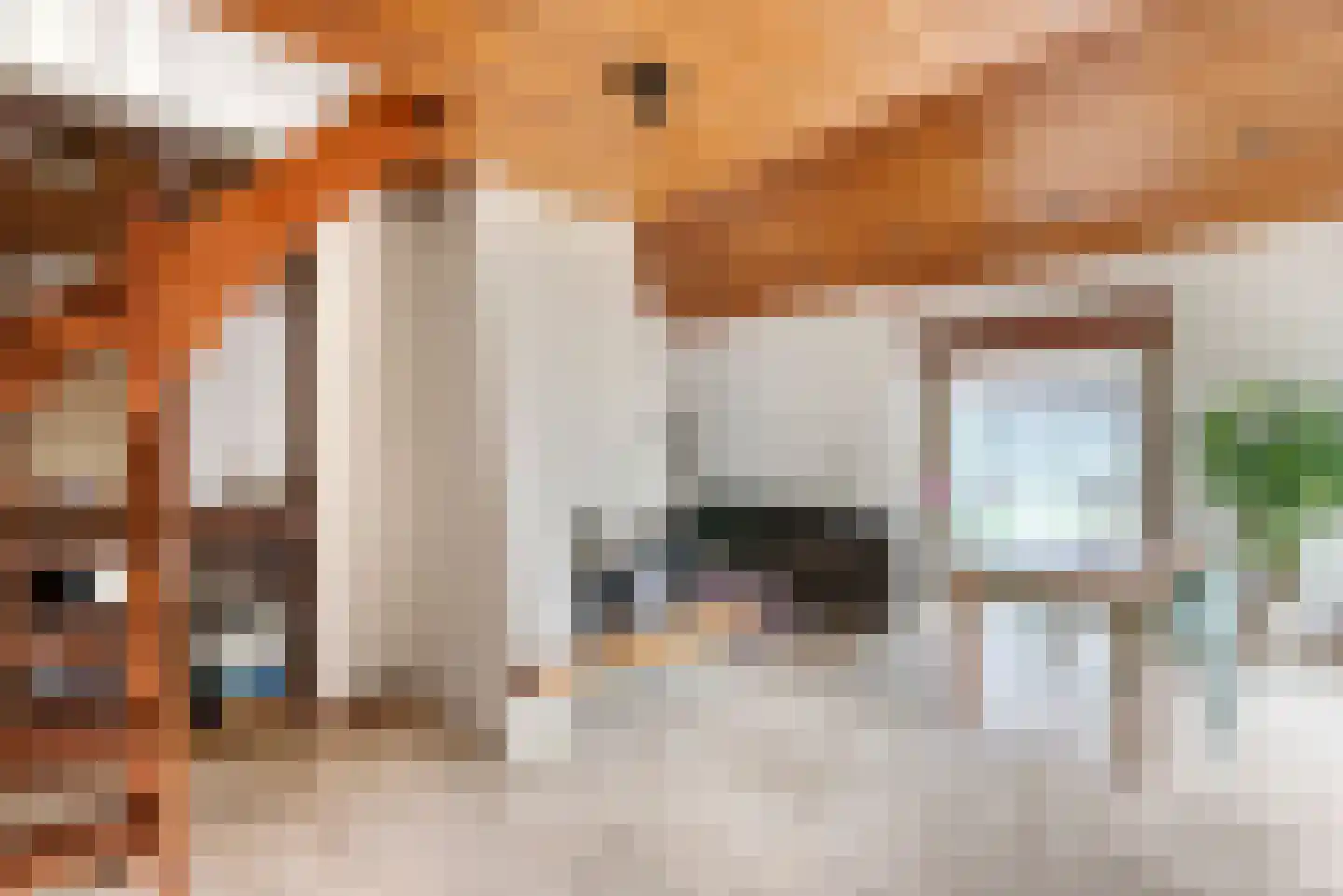 Zoetenhoek 2 b Deil thumbnail 10