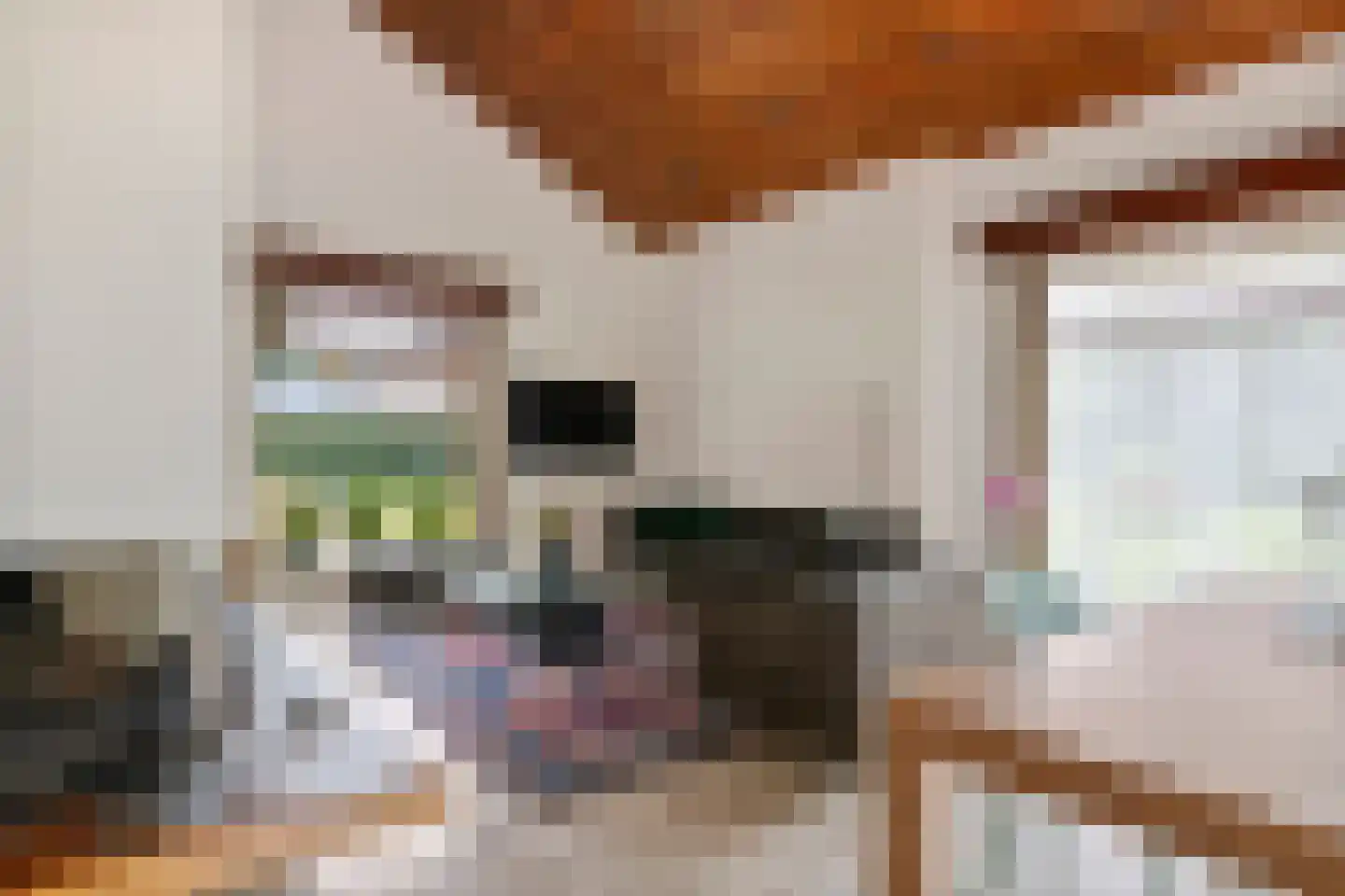 Zoetenhoek 2 b Deil thumbnail 11