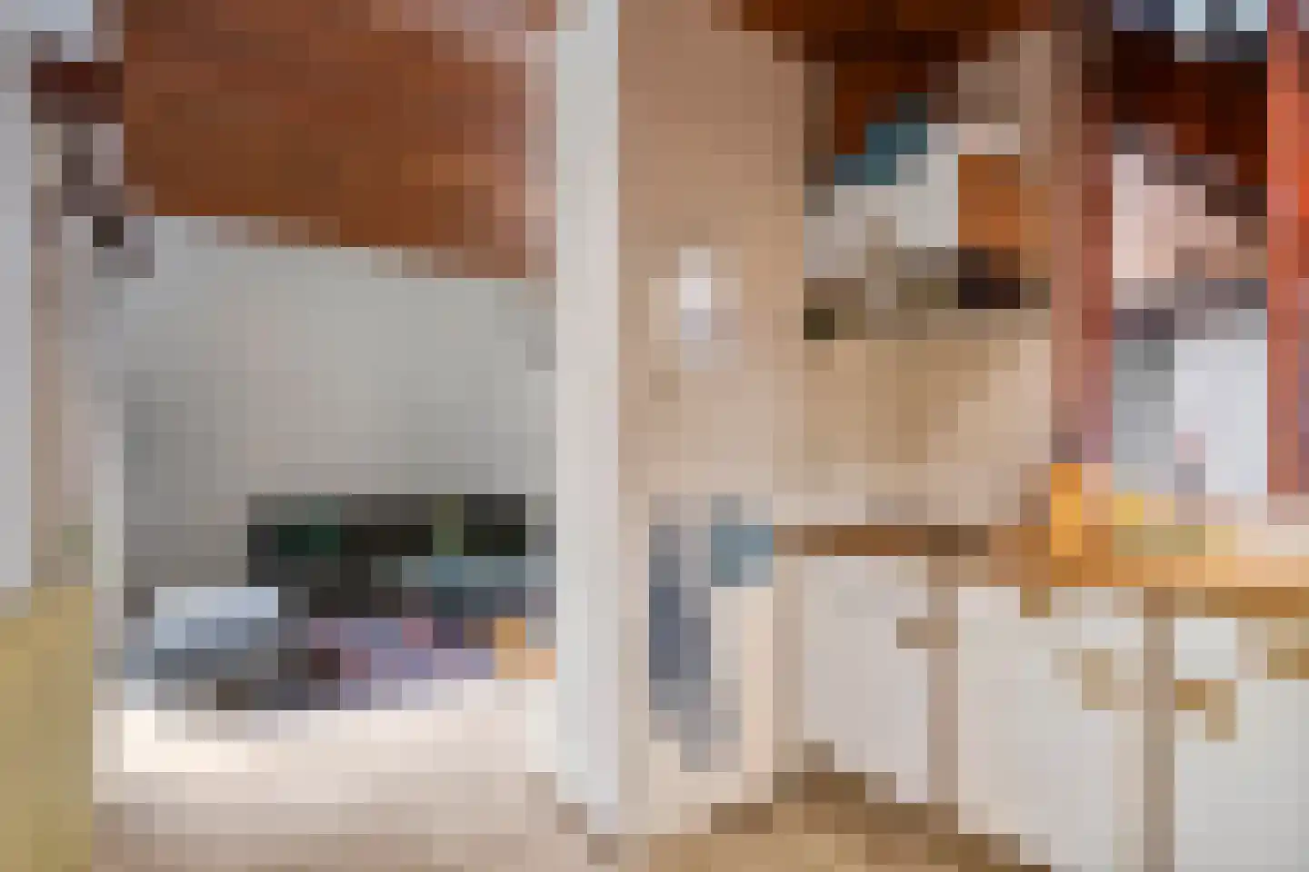 Zoetenhoek 2 b Deil thumbnail 14